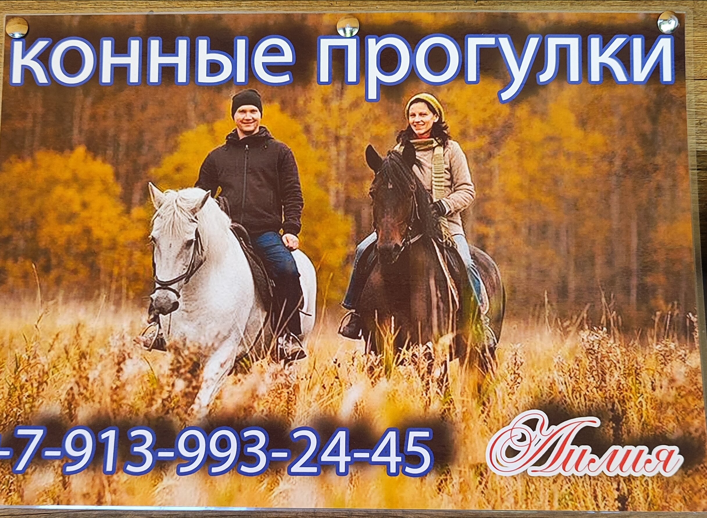 Фото Усадьба Синильга