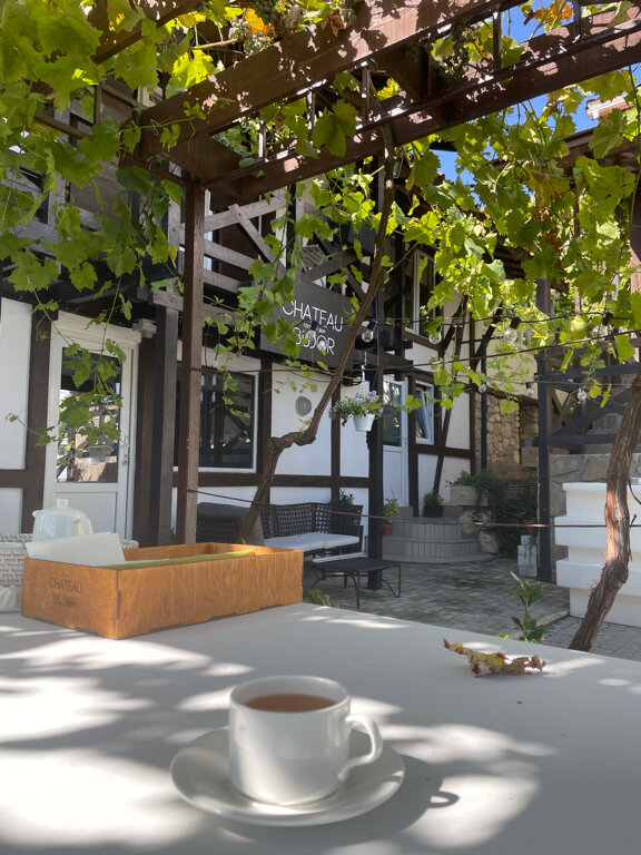 Фото Шато Бужор