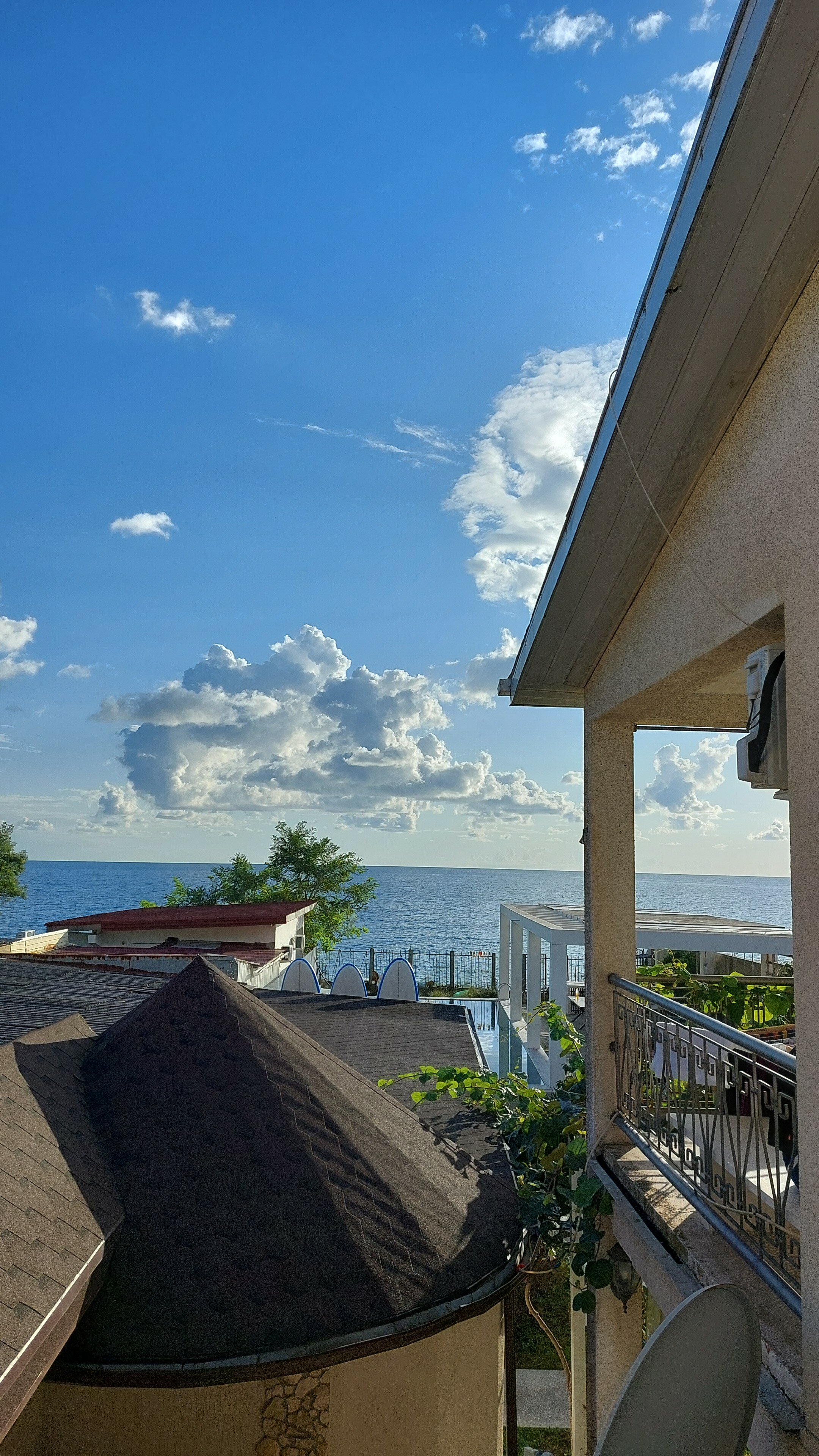 Фото Стефания