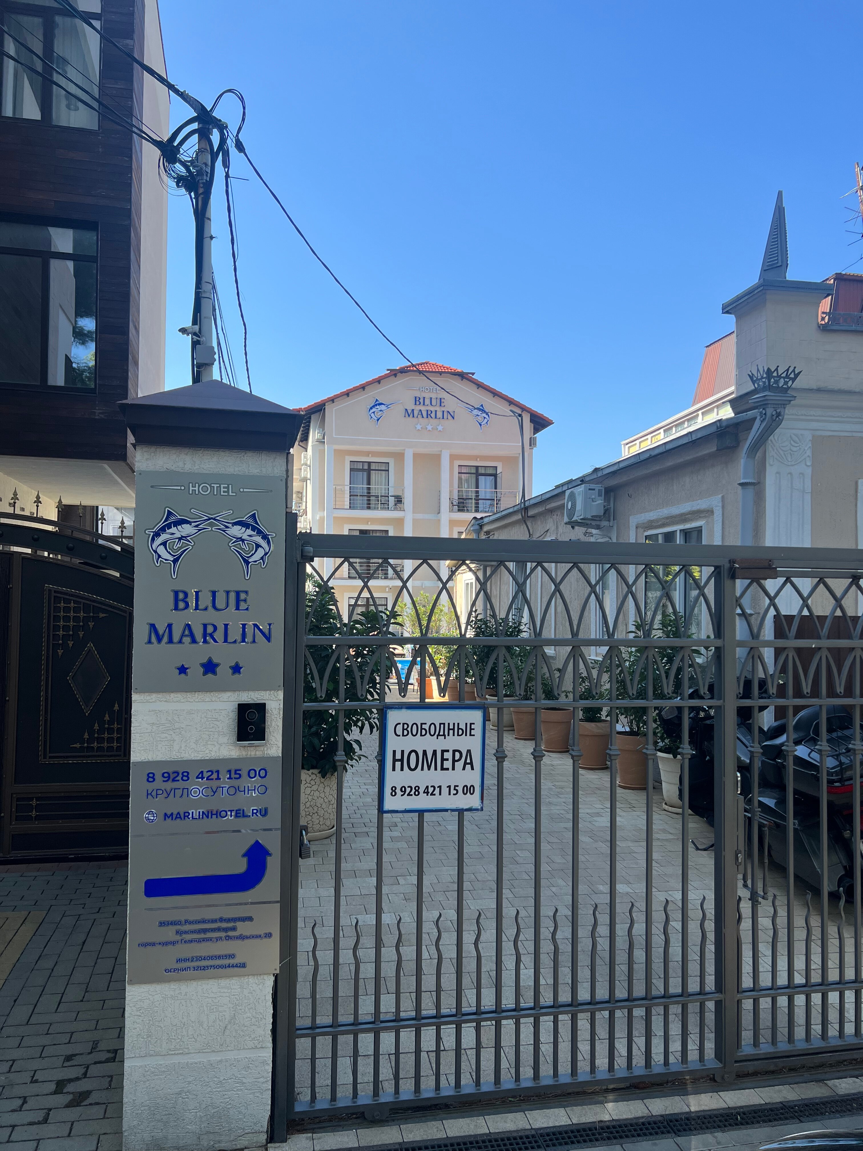 Фото Blue Marlin