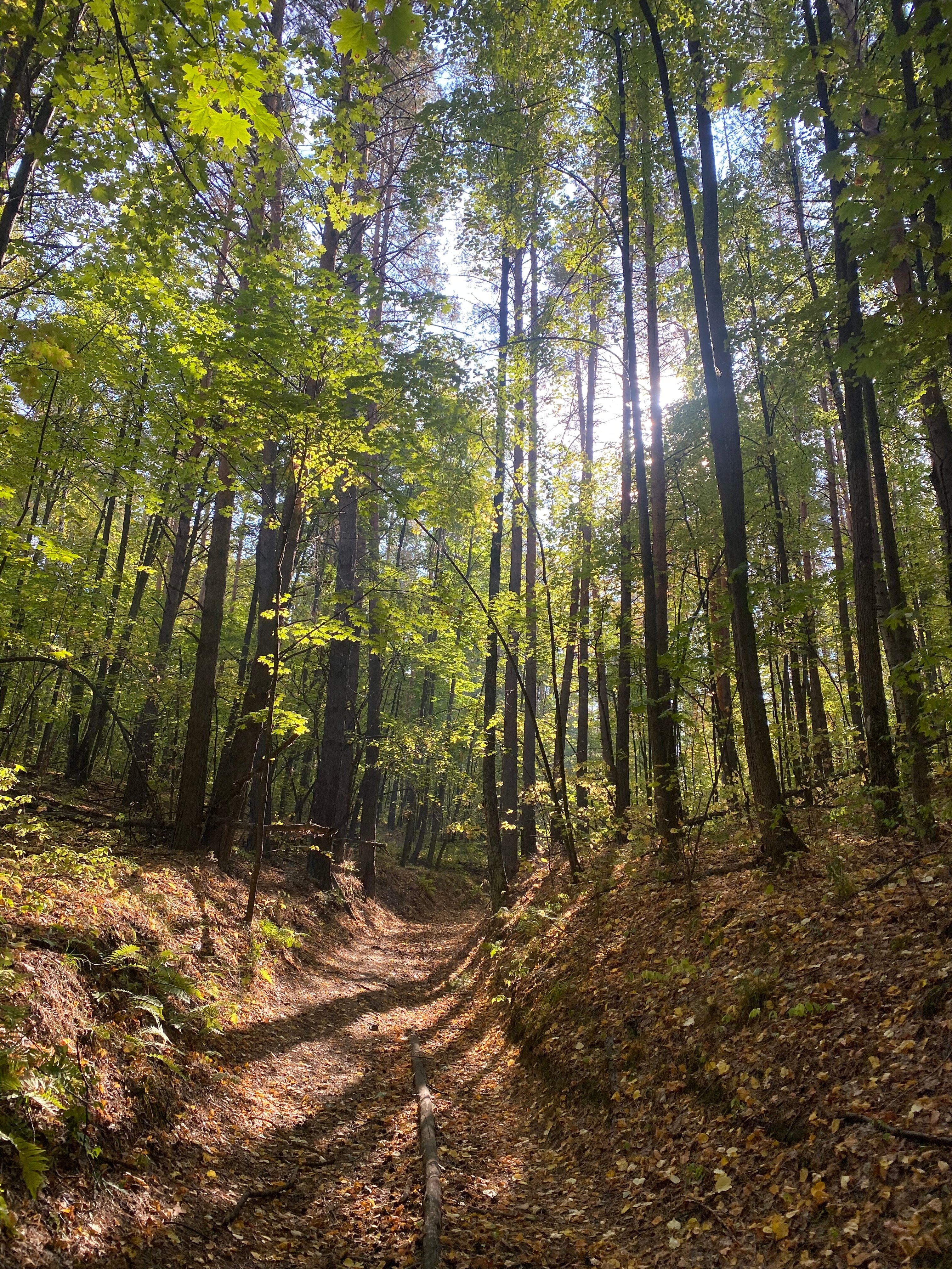 Фото Монте-Карло