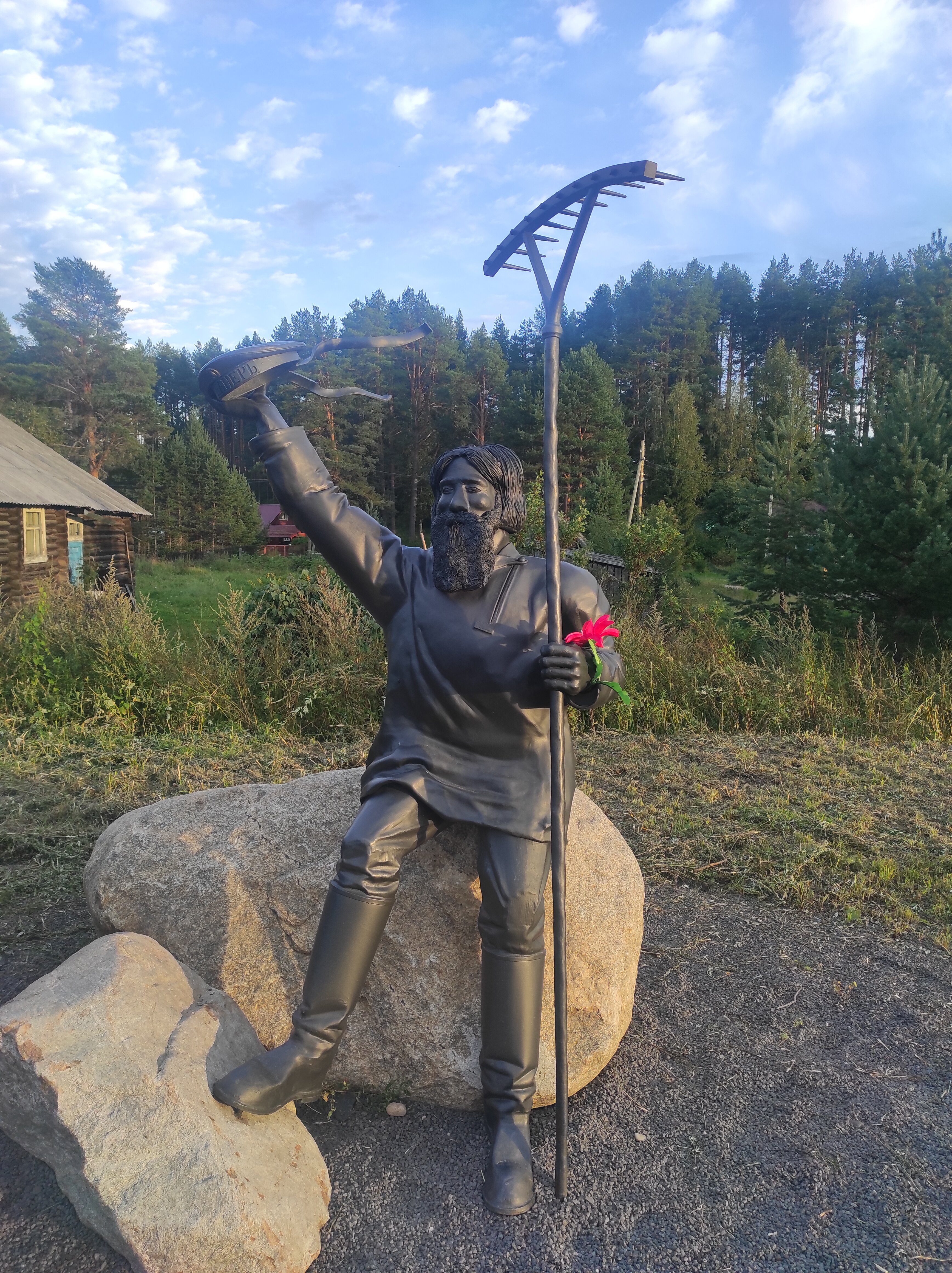 Фото Хвойный