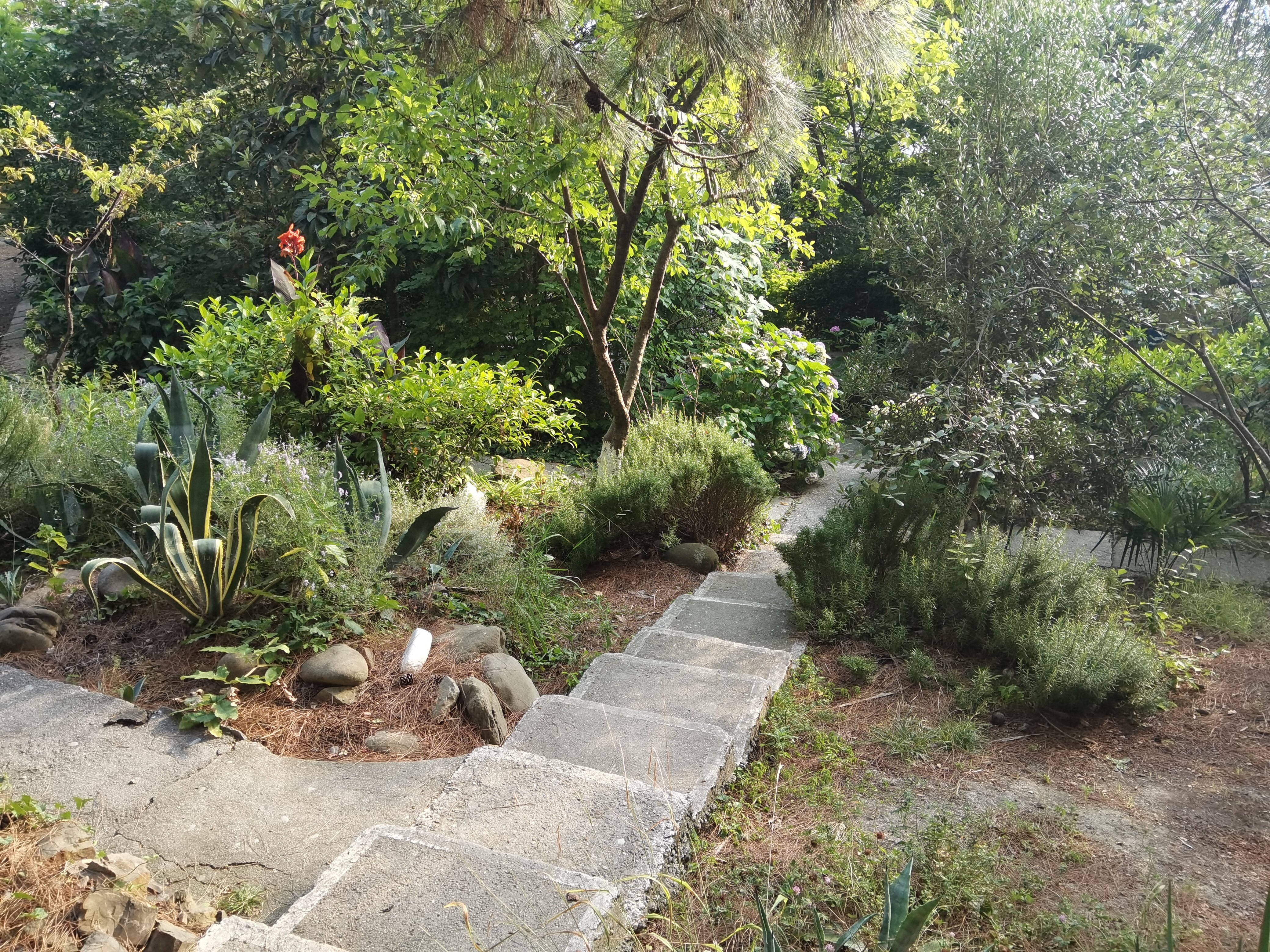 Фото Сосновый Бор