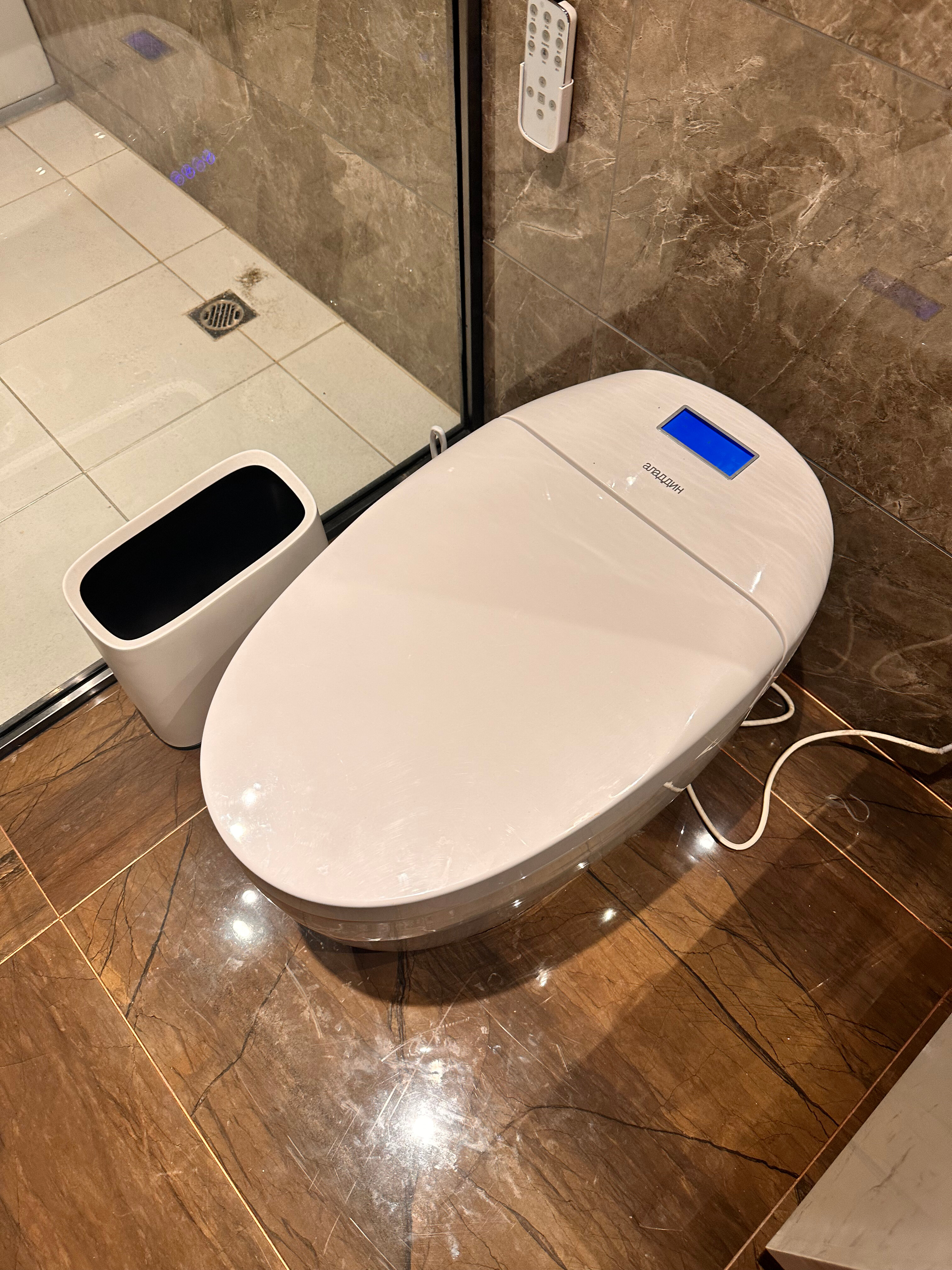 Фото Лазурная черепаха