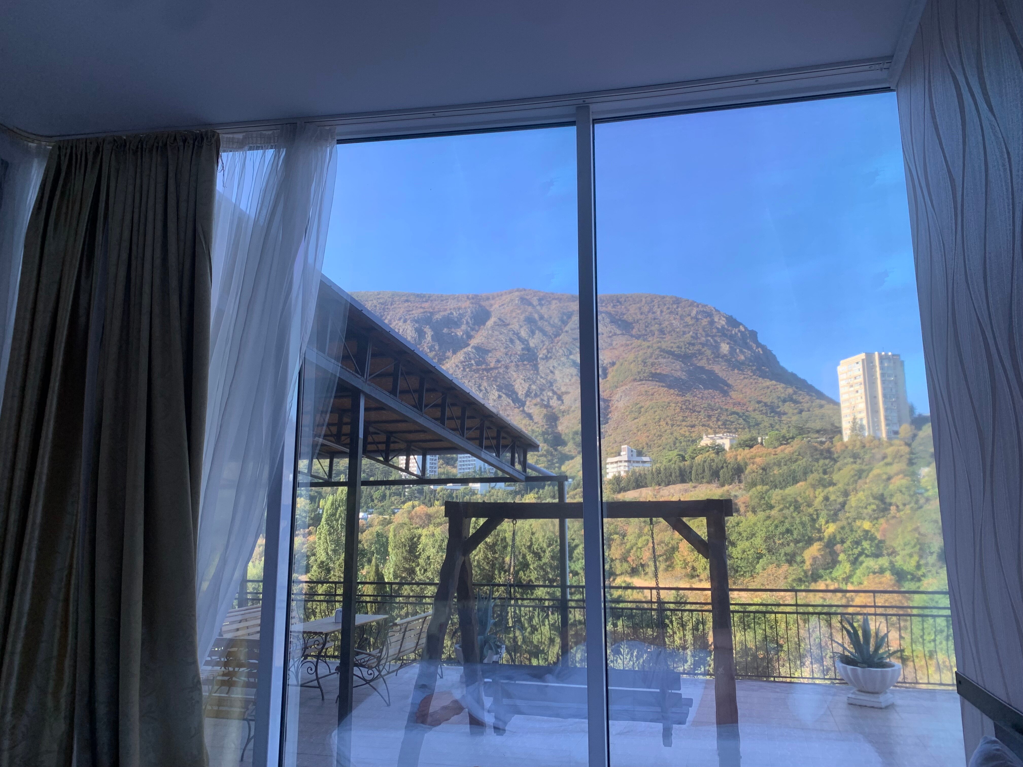 Фото Фламинго