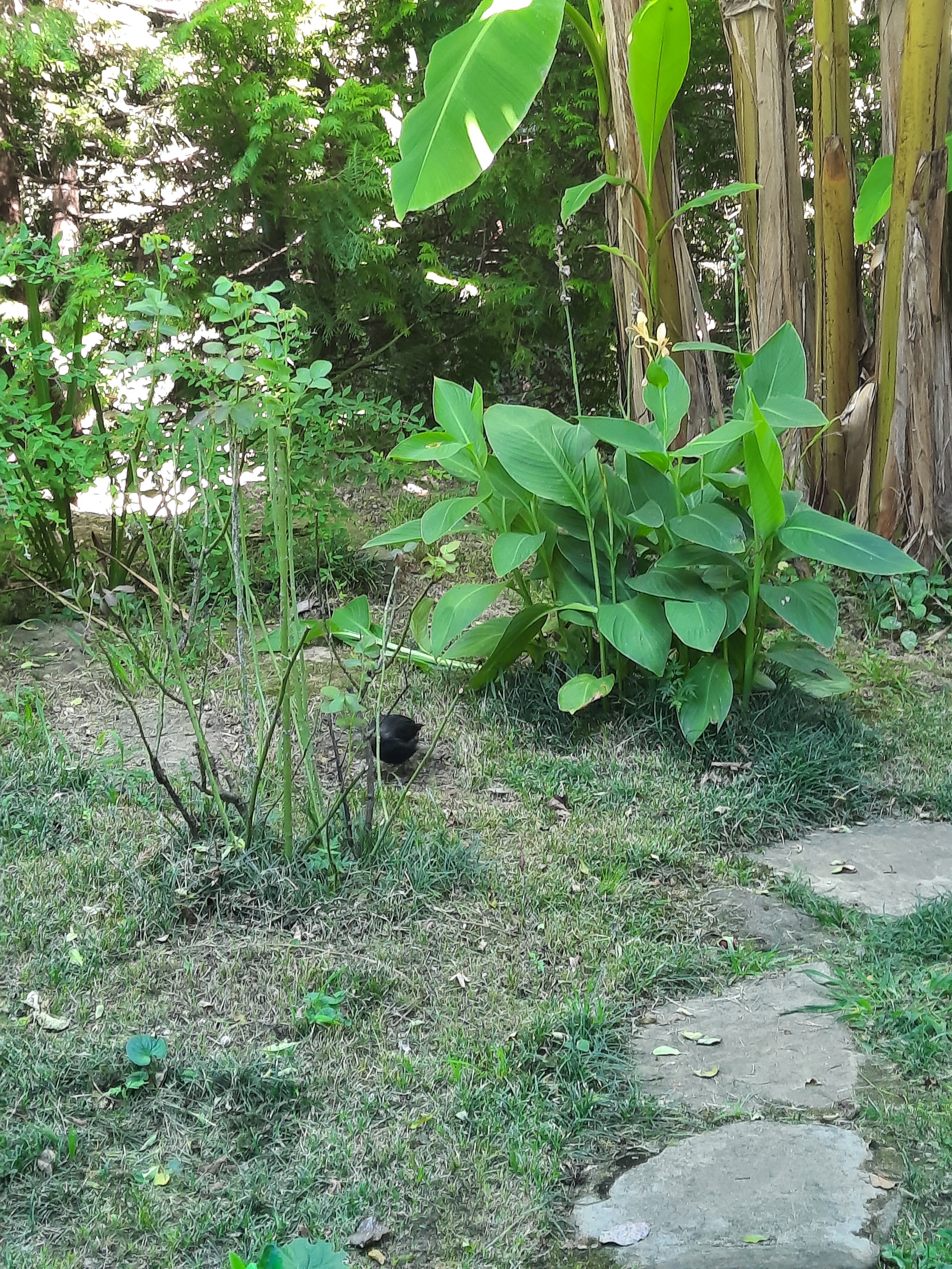 Фото Рест-Мацеста