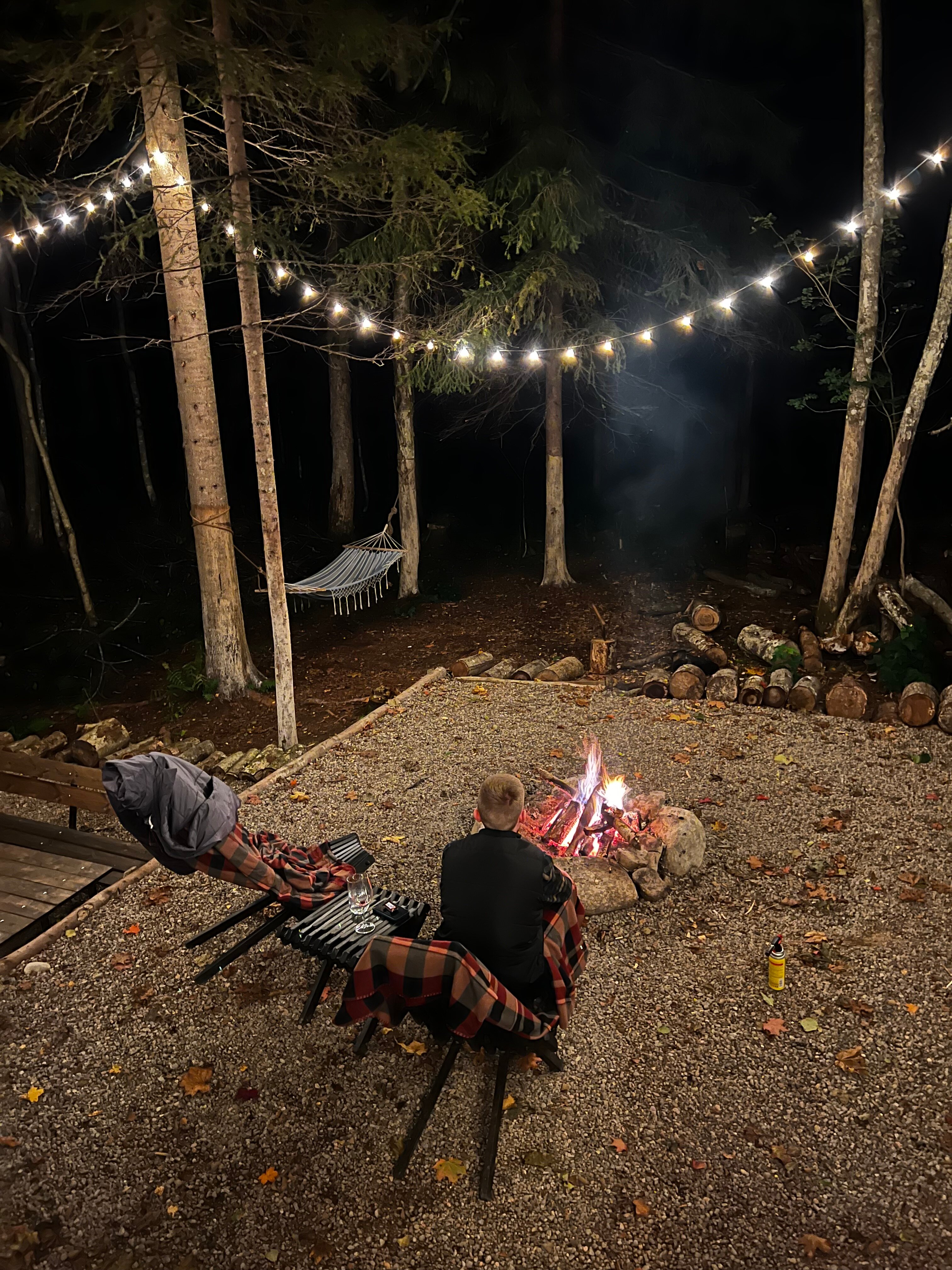 Фото Лес и Гора