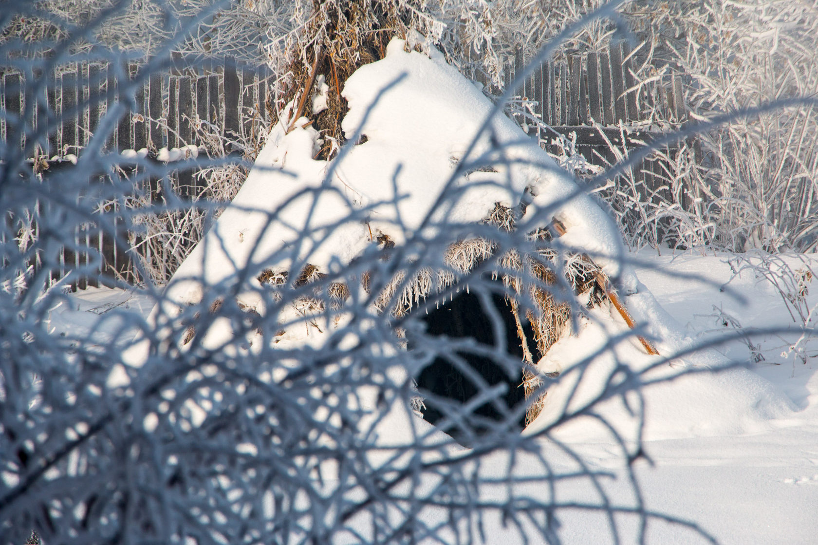 Фото Десятка