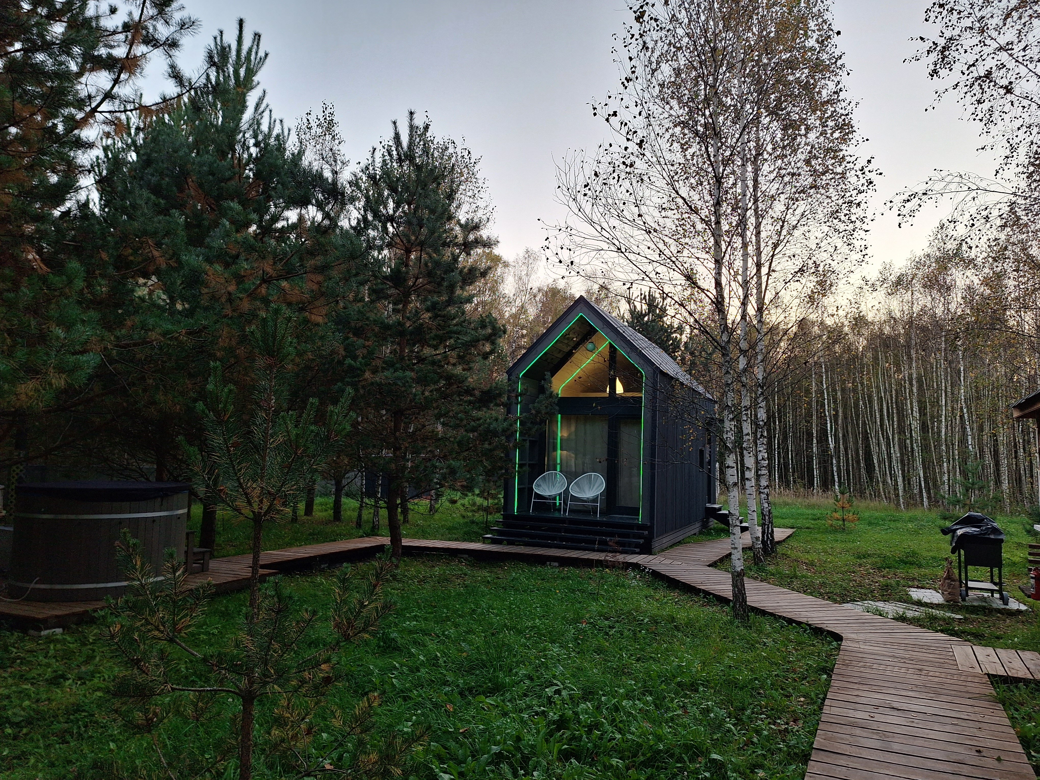 Фото Дыши лесом