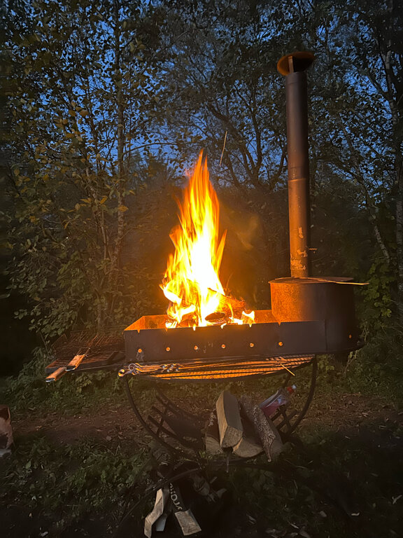 Фото Лес и луга