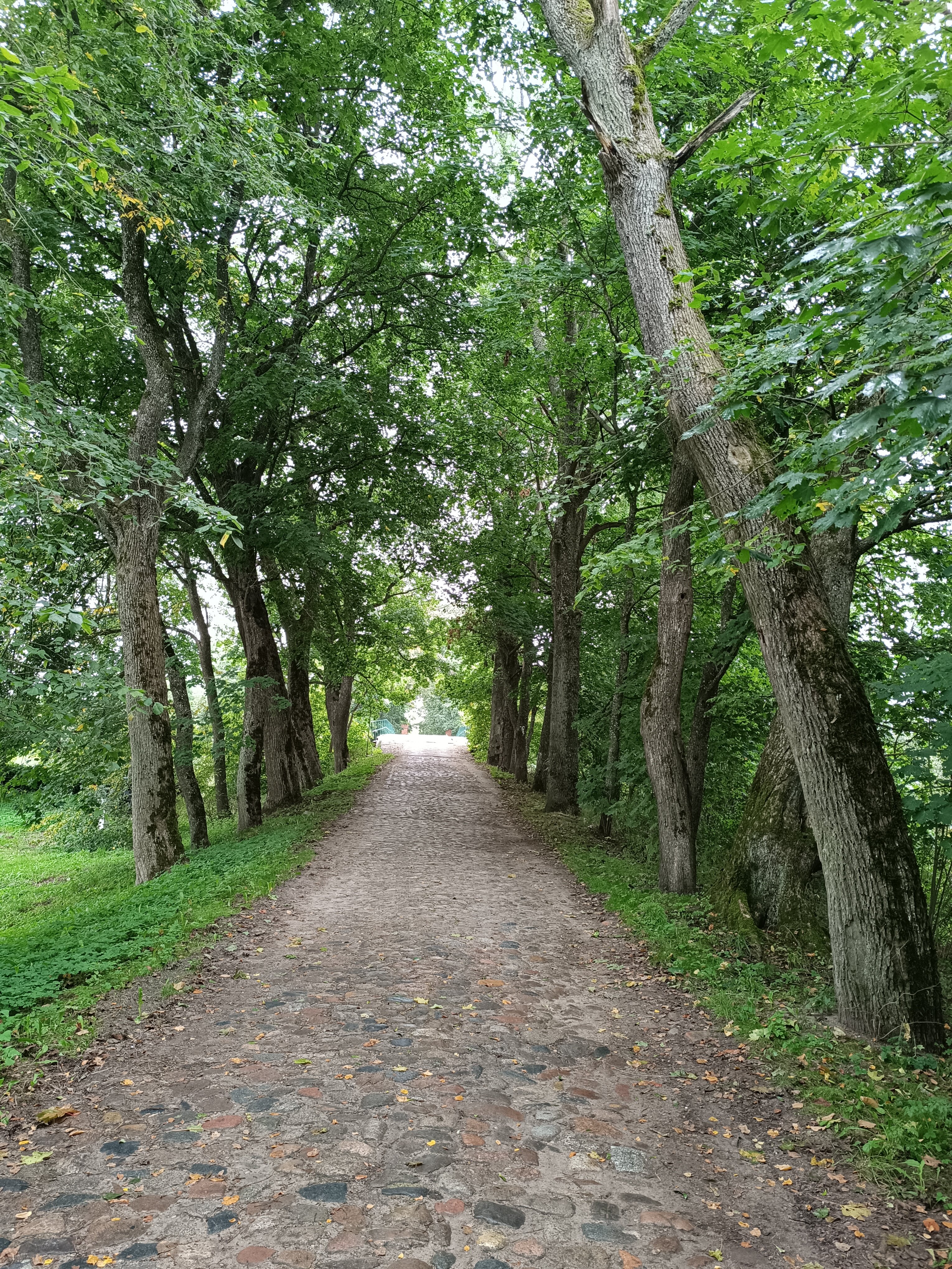 Фото Вальдхаузен