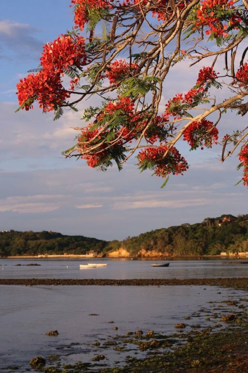 Фото Ché Buzios Pousada