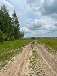 Городище Борилово (Орловская область, Болховский район, село Борилово, Ударная улица), достопримечательность в Орловской области