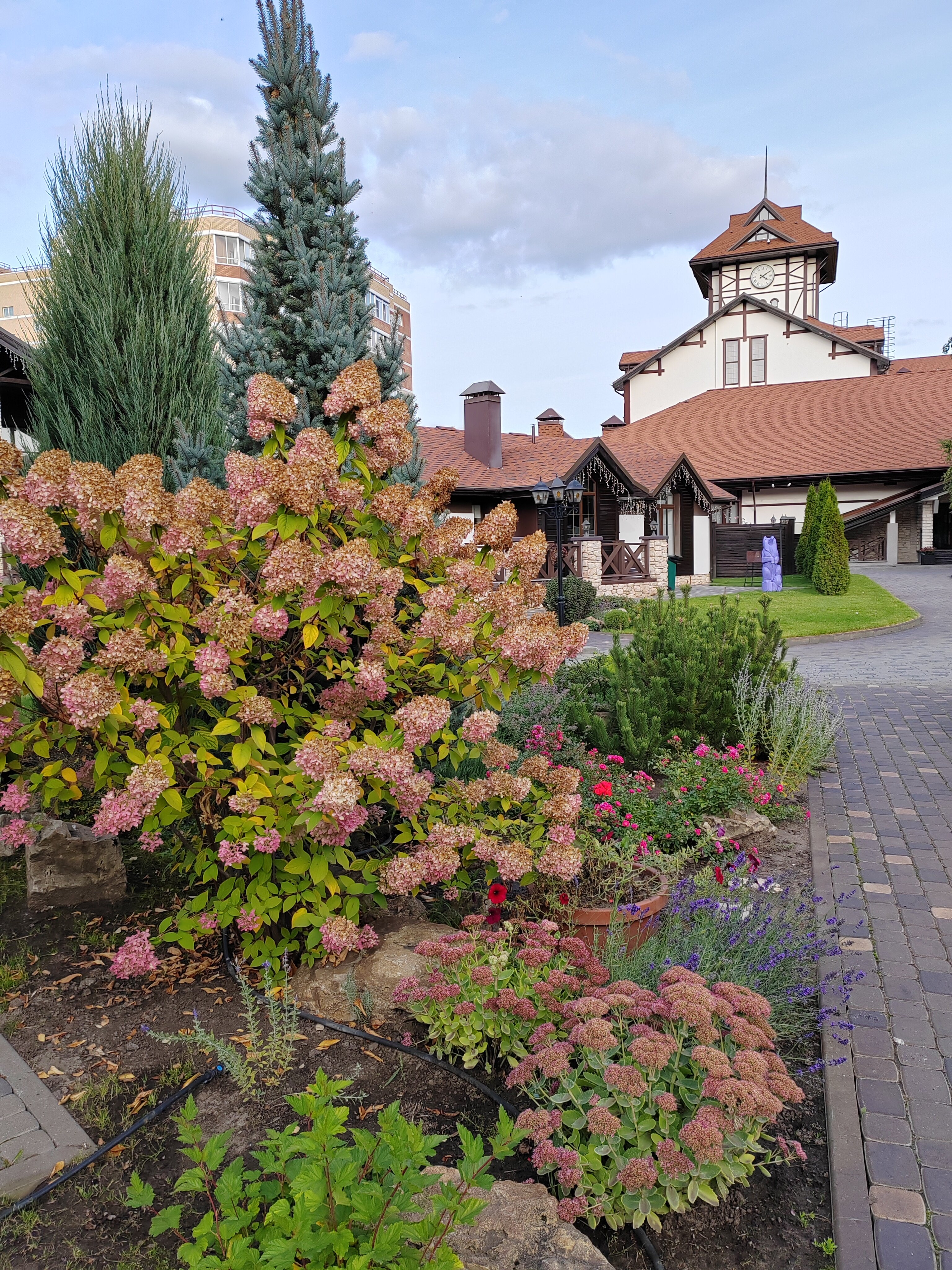 Фото Альпен Парк