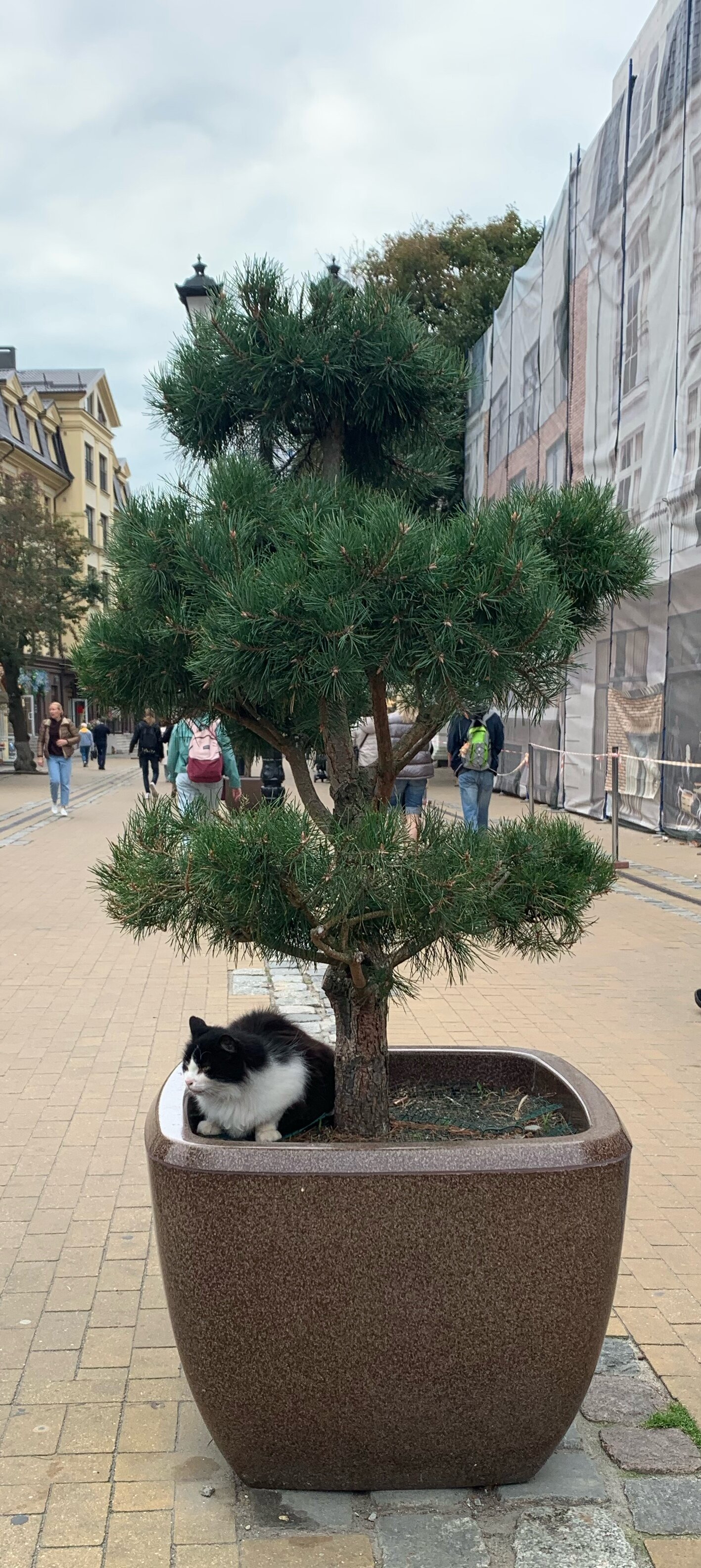 Фото Friday Center