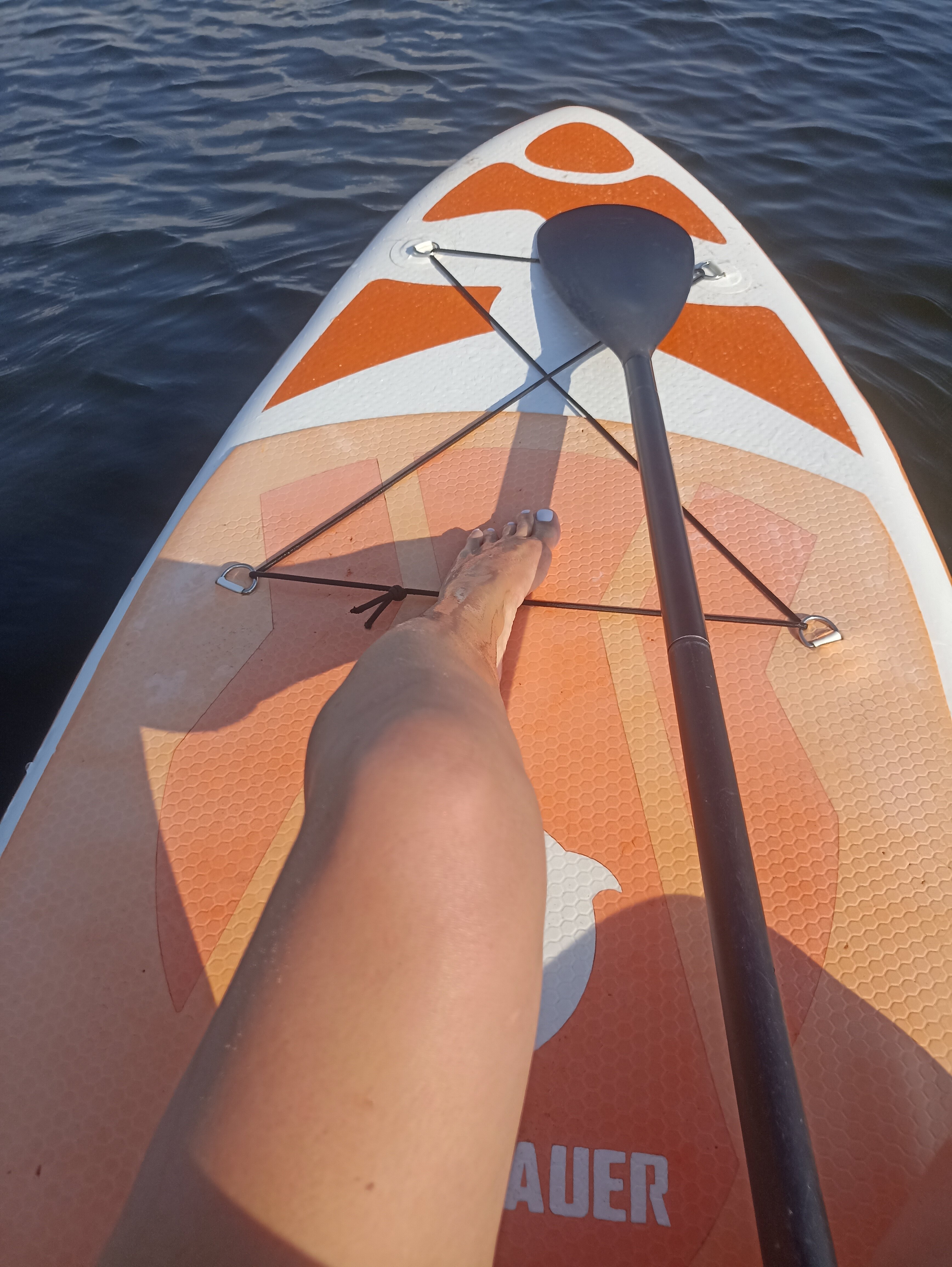 Фото Новая волна