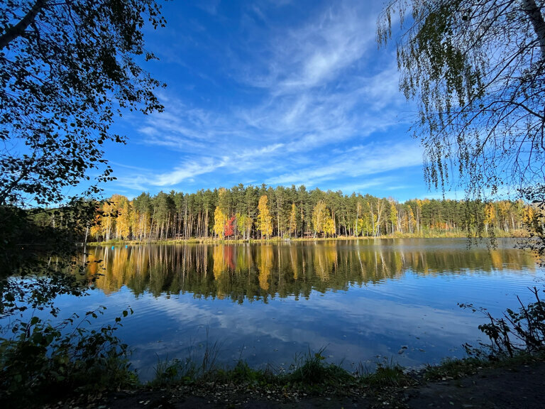 Лесопарк Калиновский лесопарк, Екатеринбург, фото