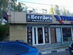 BeerLoga (Geroev Desantnikov Street, 73/75), beer shop
