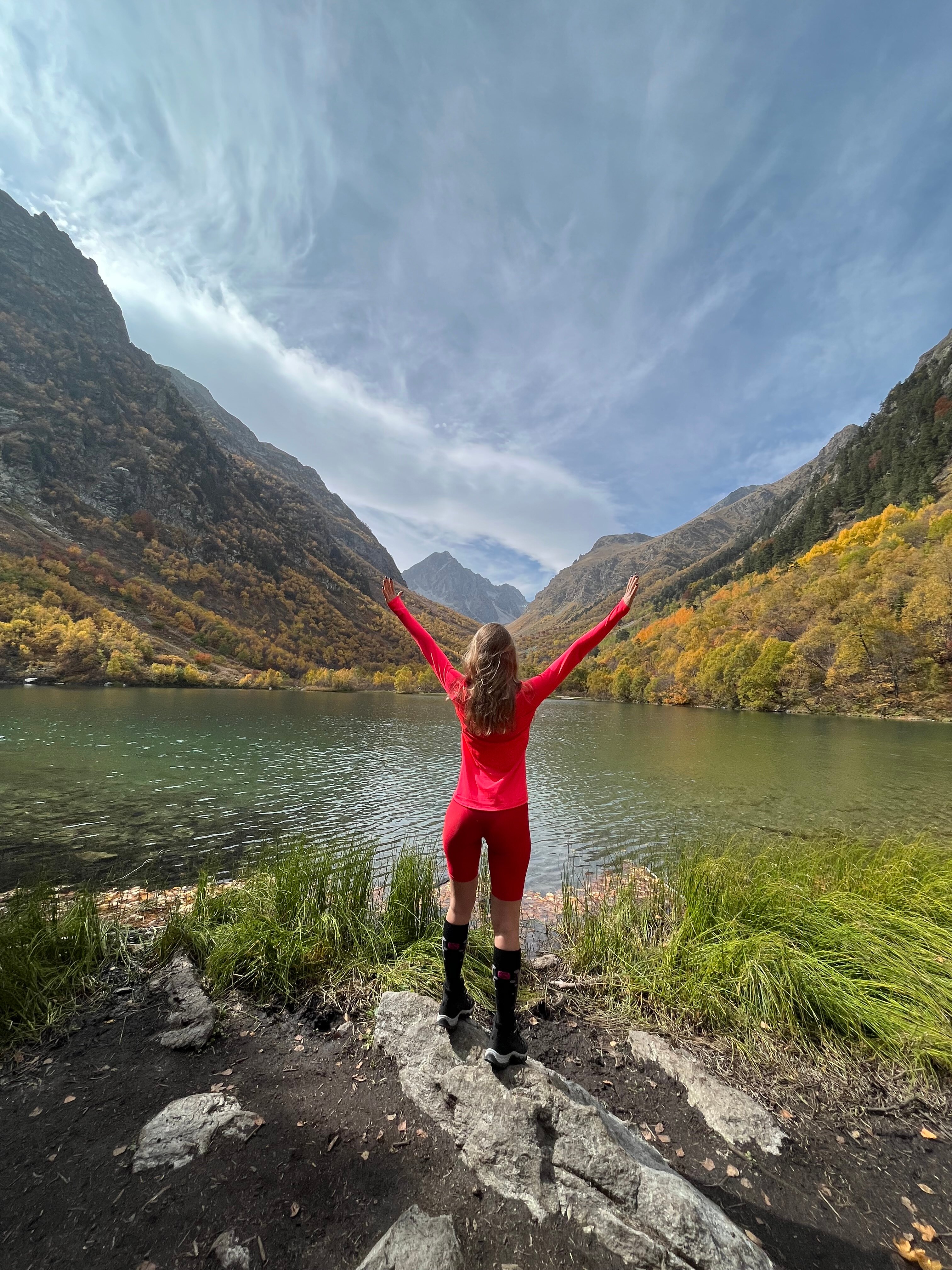 Фото Ягодный тис