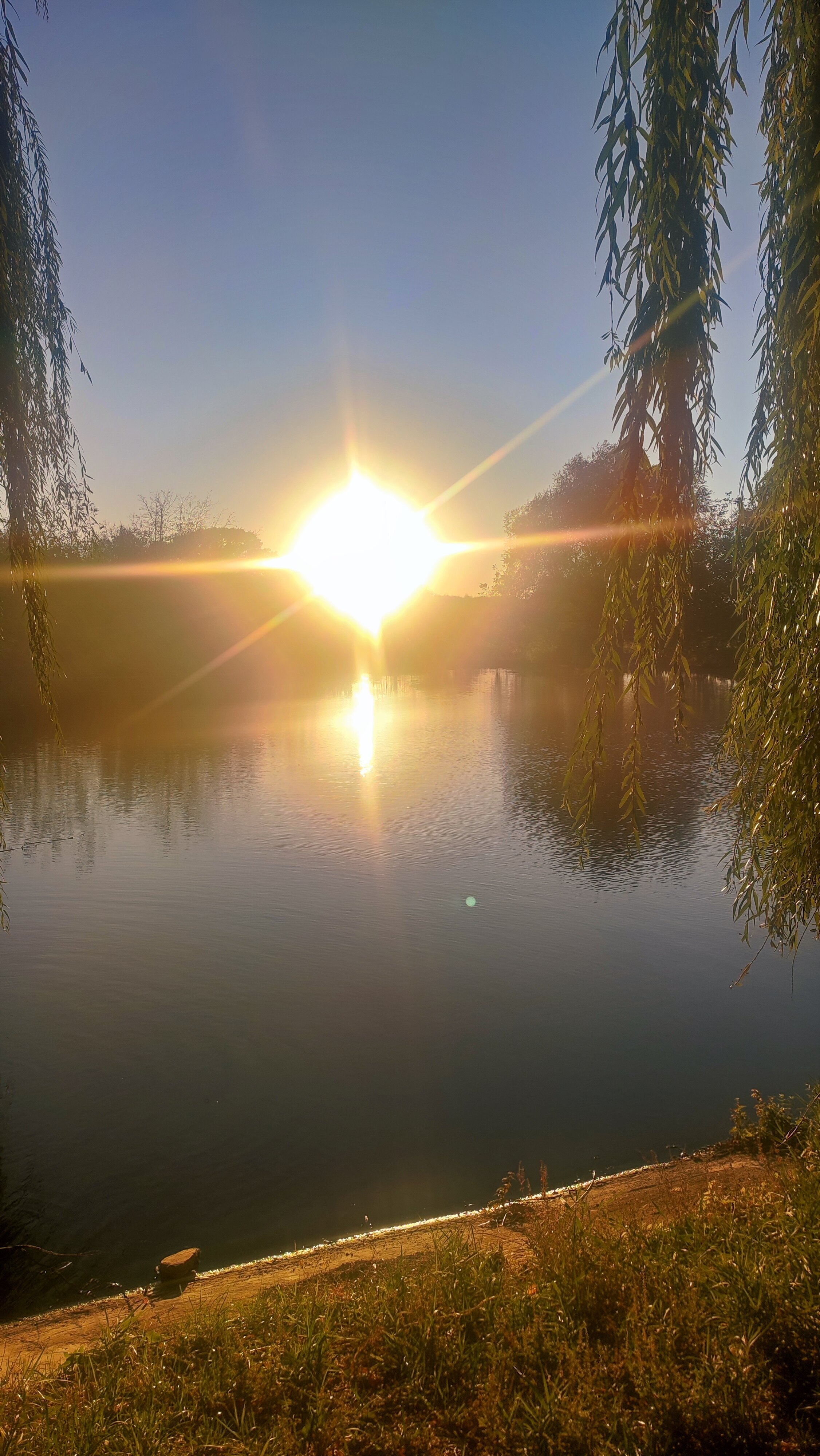 Фото Тихий пруд