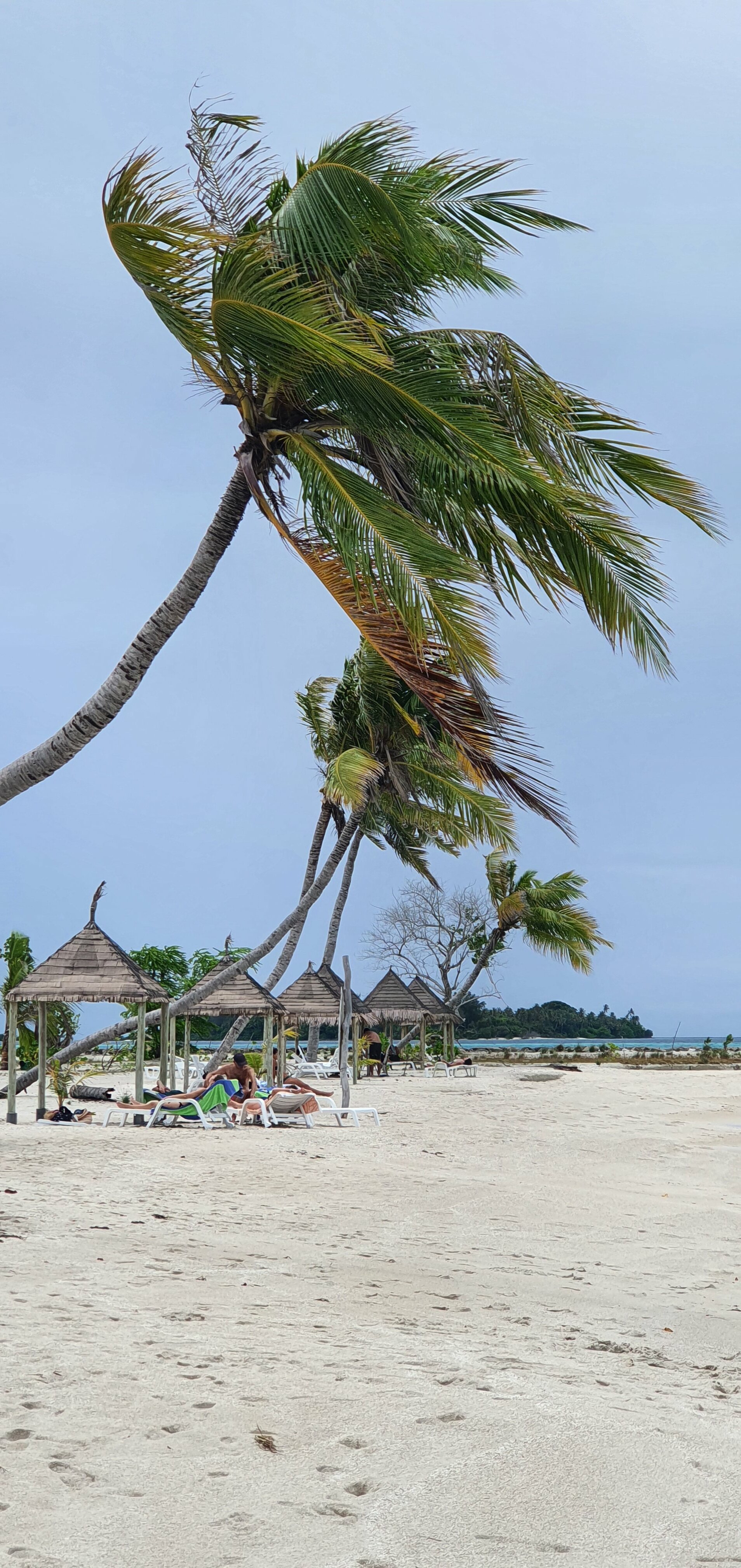 Фото Ocean Retreat & SPA