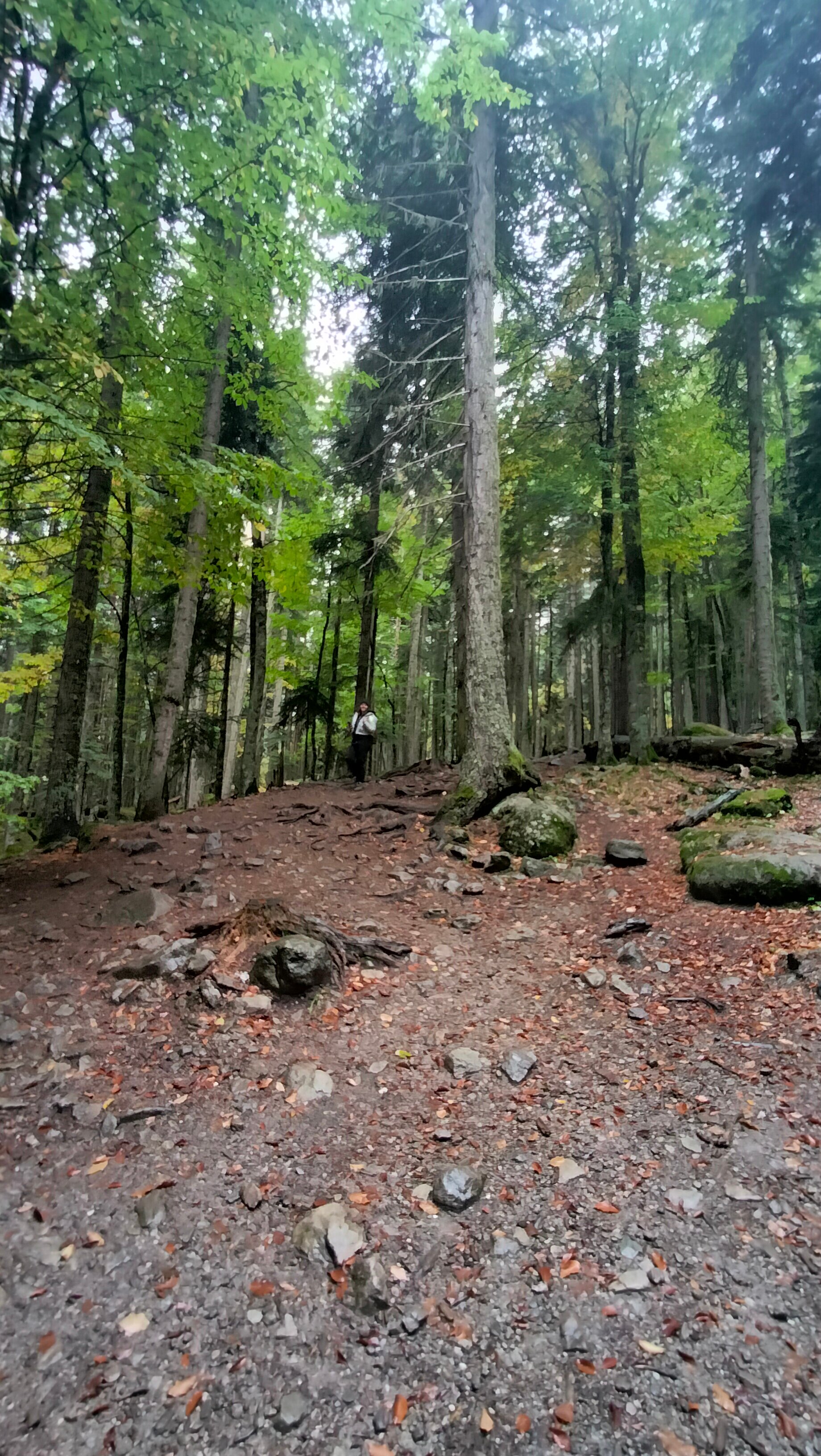 Фото Архызские вершины