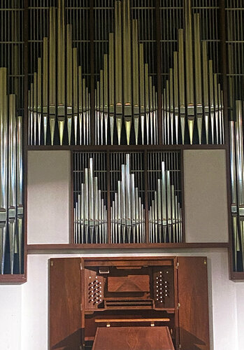 Ұзындығы метрге жететін сперматозоидтар көп