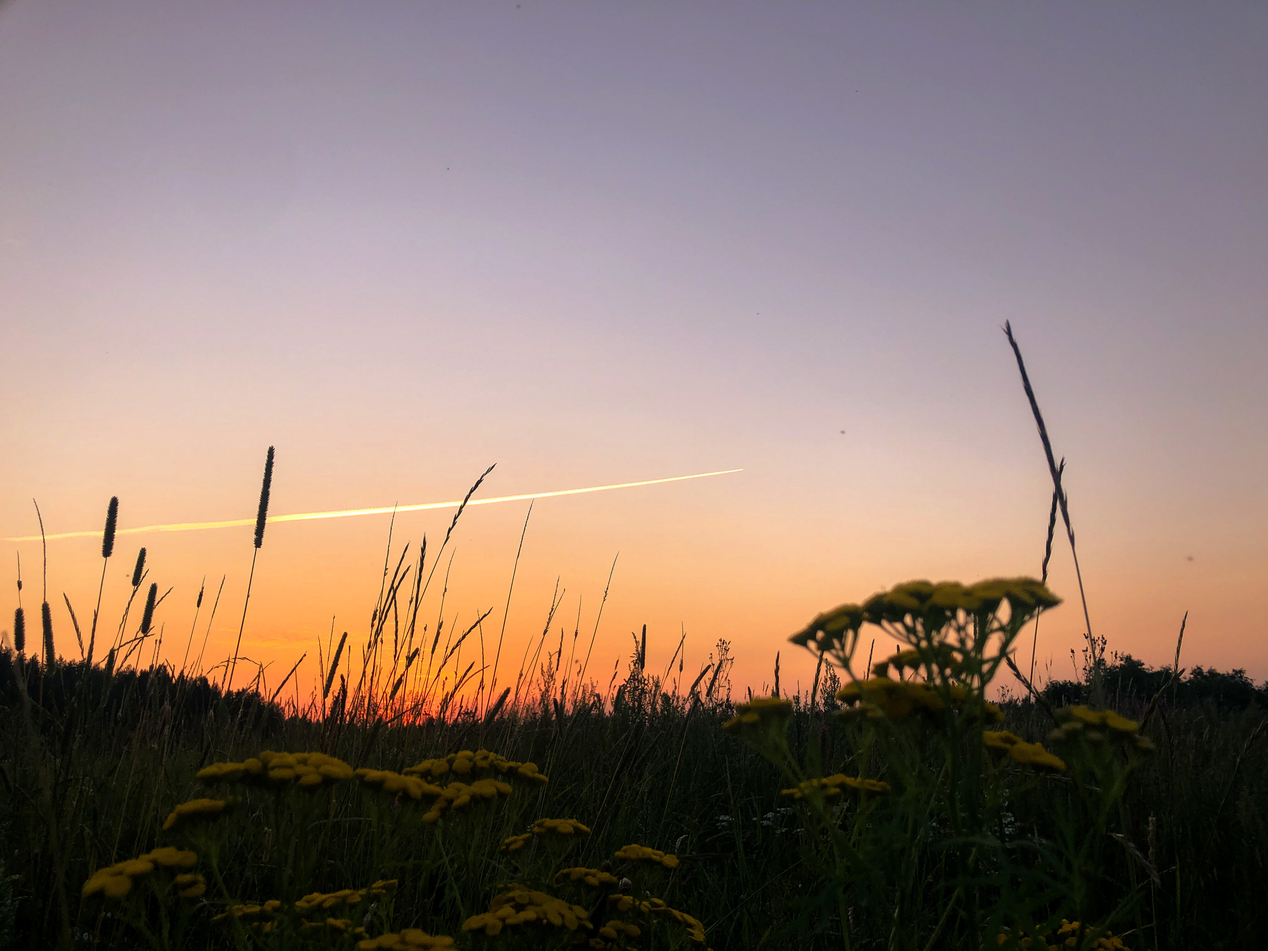 Фото Варёновка