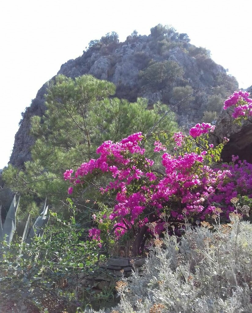 Parklar ve ormanlar Marmaris Milli Parkı, Marmaris, foto