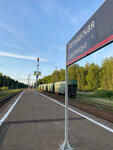 Latyshskaya Station (Moscow Region, Naro-Fominskiy City District, territorialnoye upravleniye Ateptsevo), train station