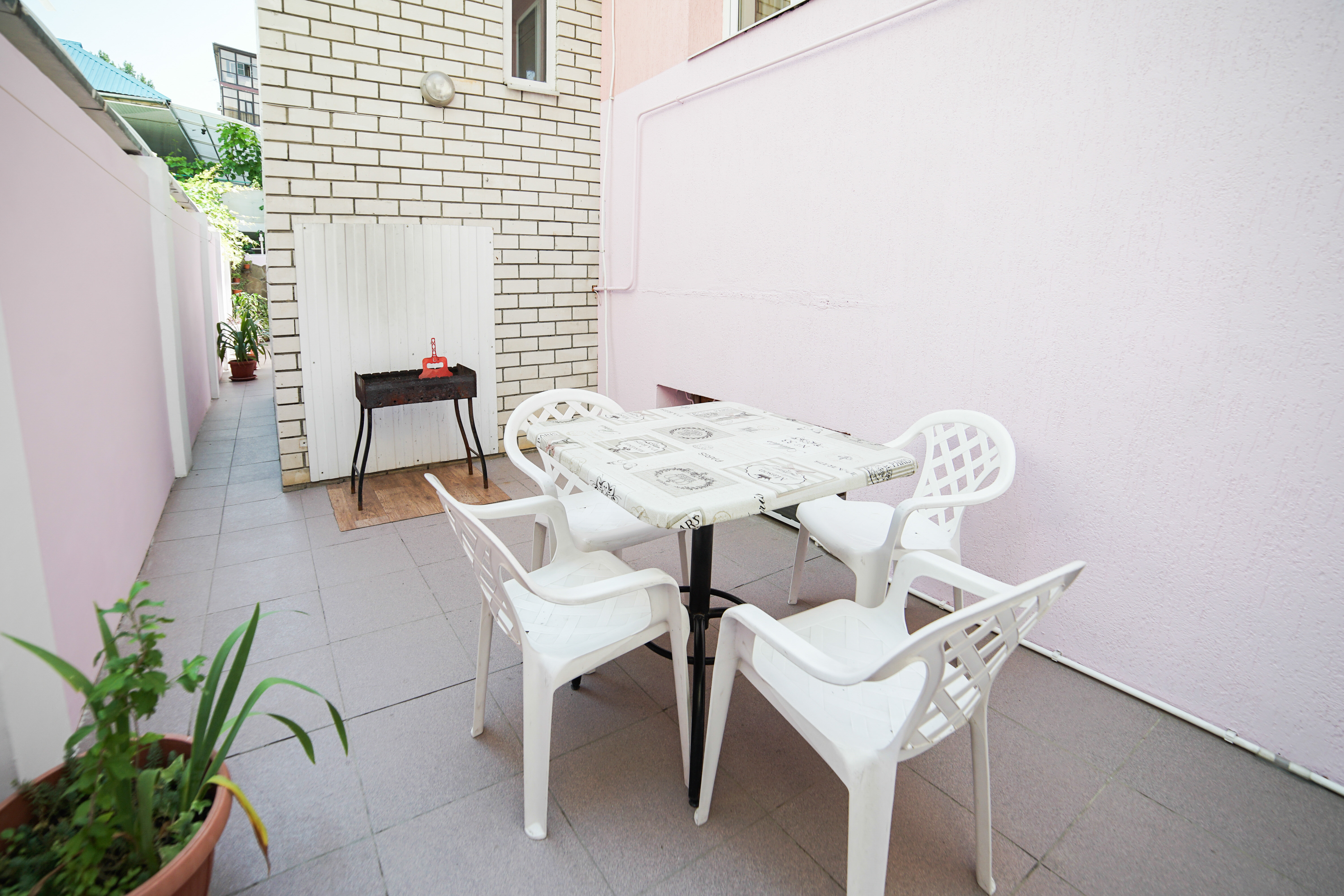 Фото Морская звезда