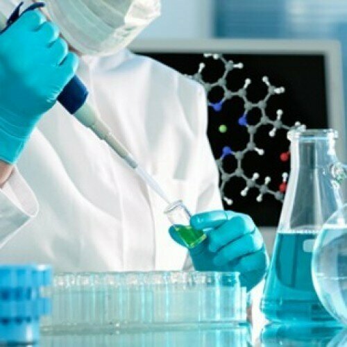 Business consulting Career Management Consultants & Training, Abu Dhabi, photo