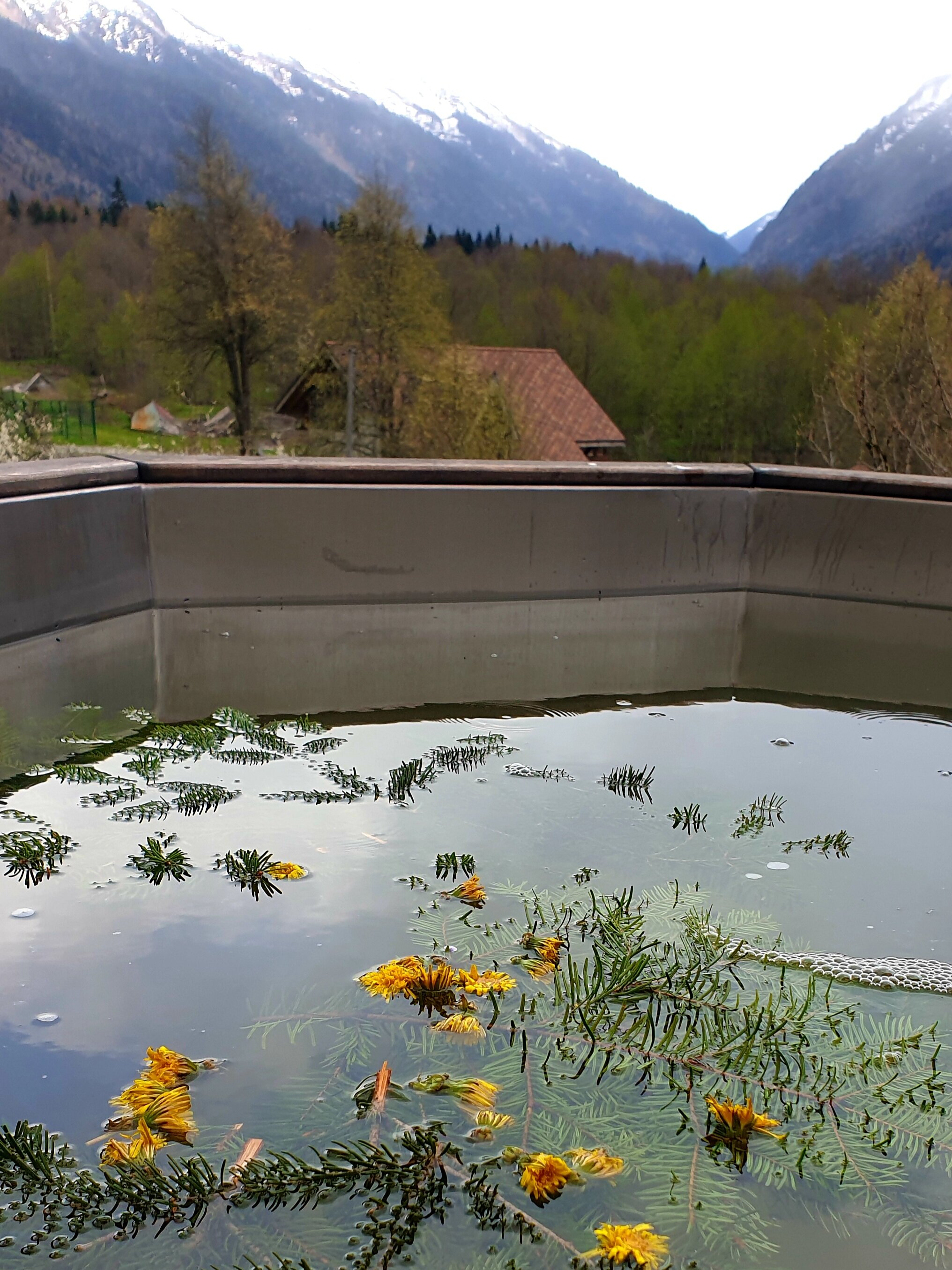 Фото ПихтаHouse