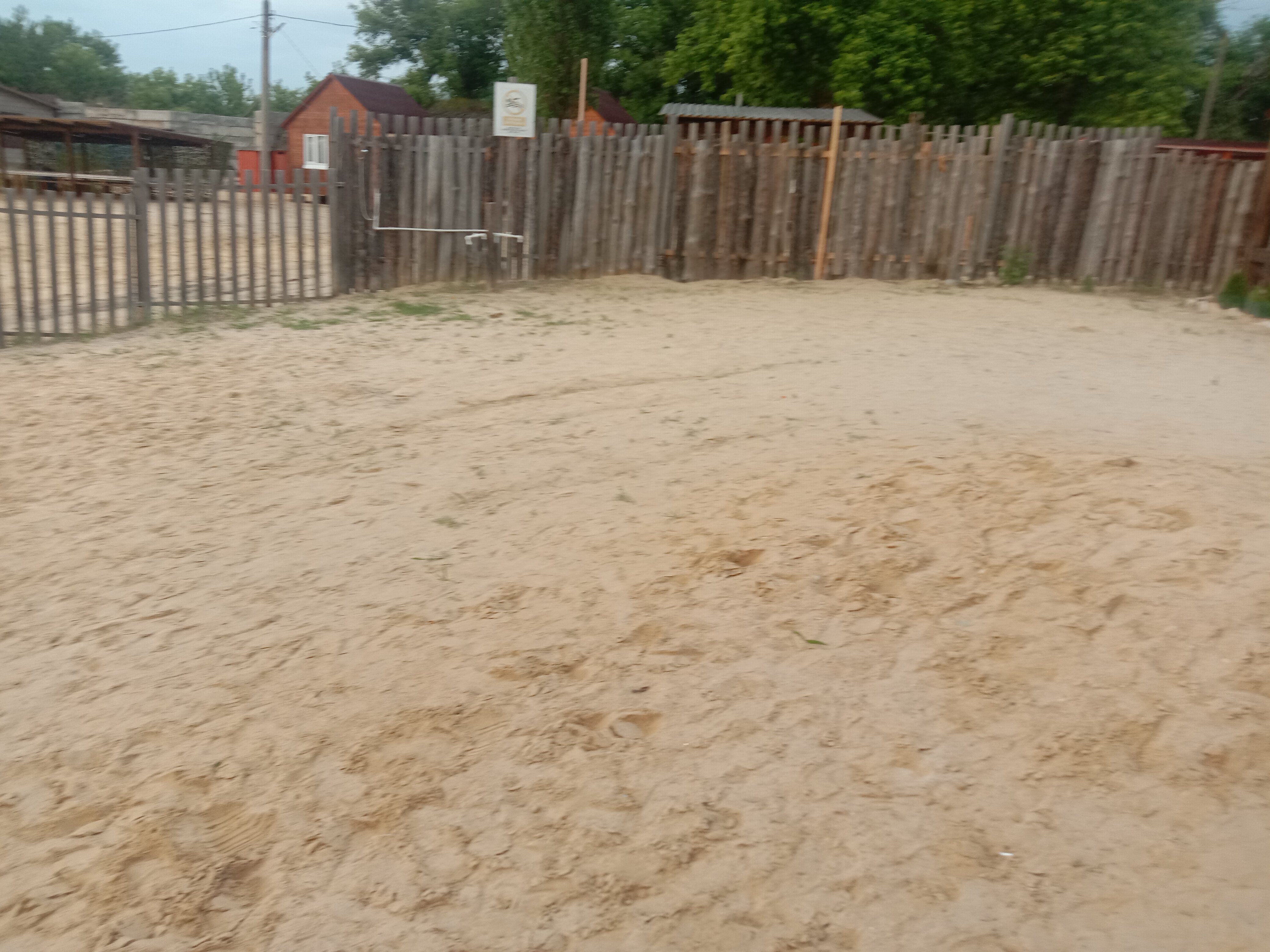 Фото Белуга