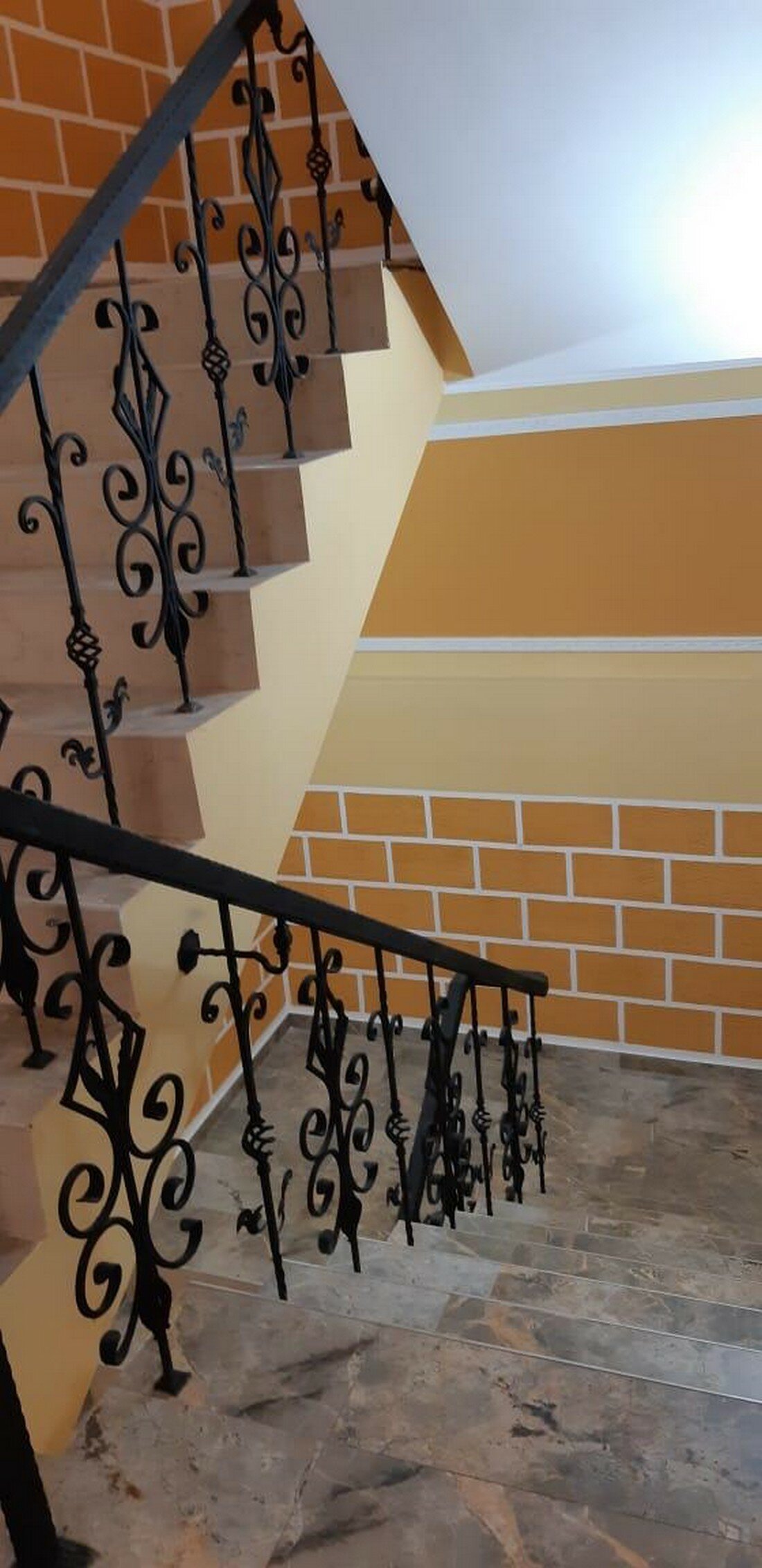 Фото Багира