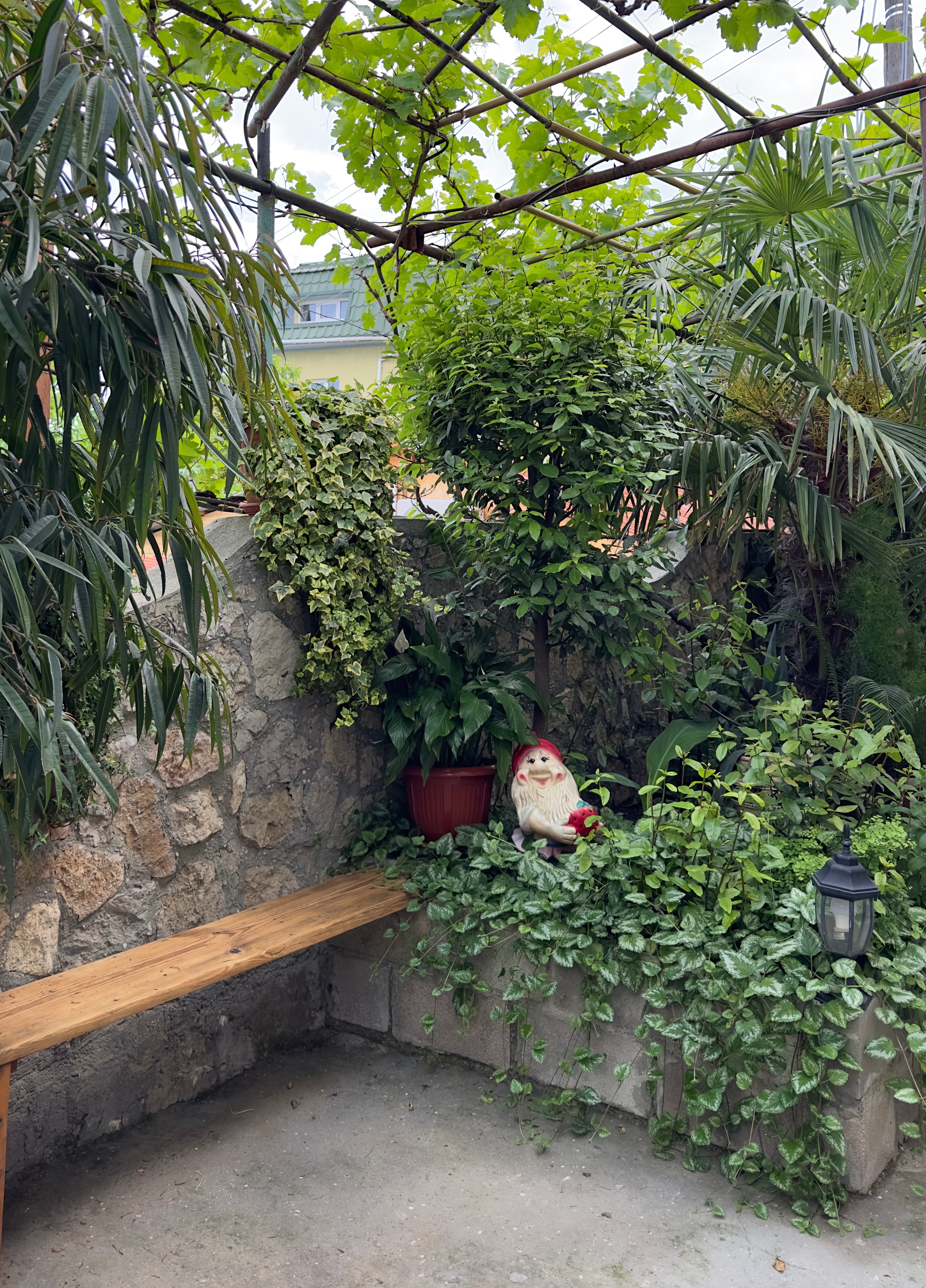 Фото У Барса