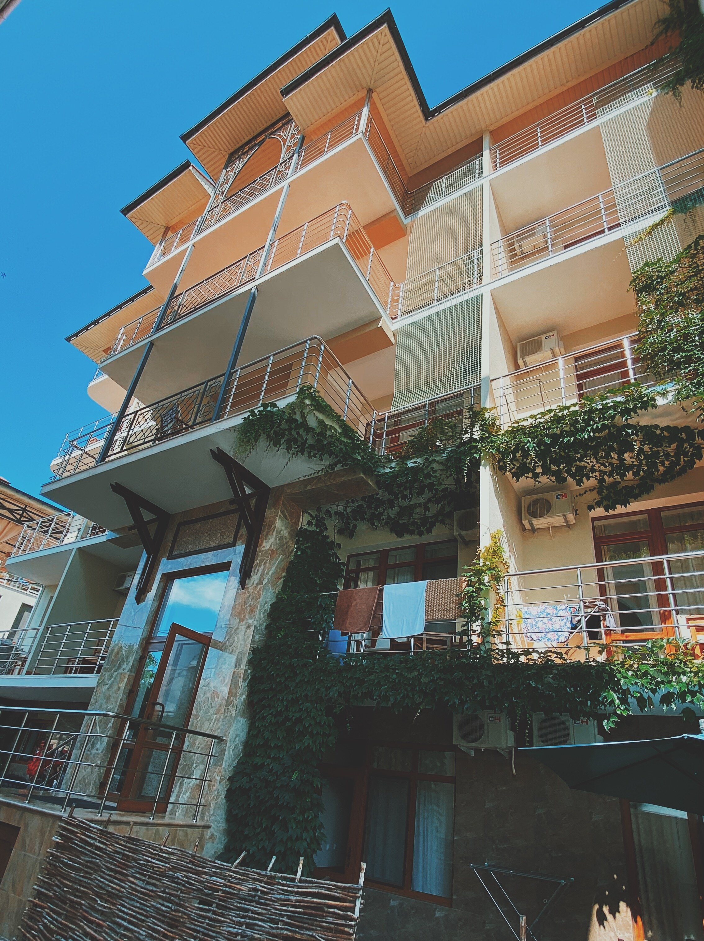 Фото Ориентал