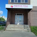 Радужная птица (65 Let Pobedy Street, 16), children's developmental center