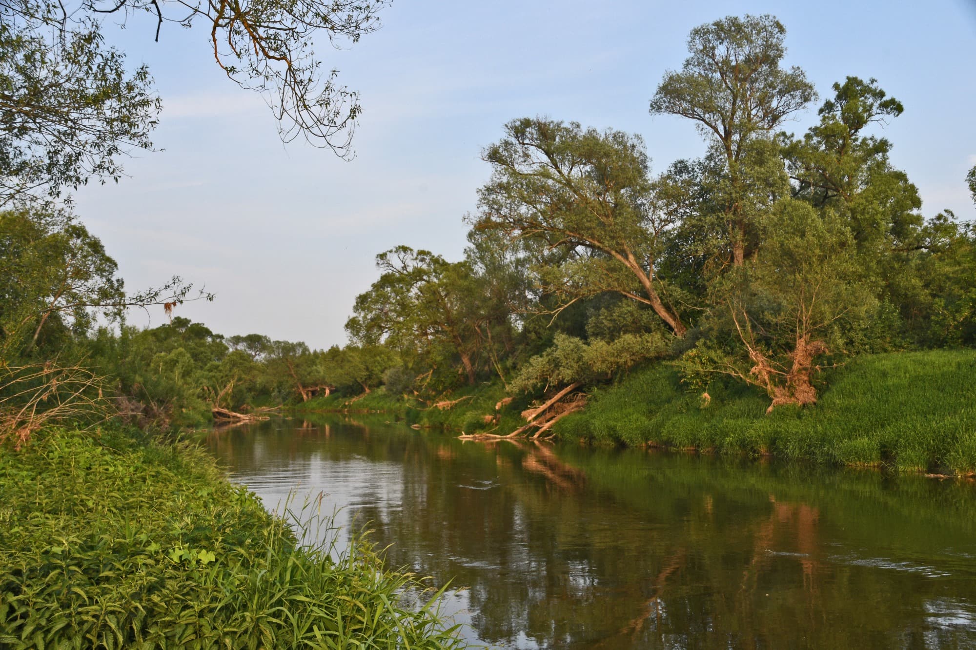Фото Бунин Ручей