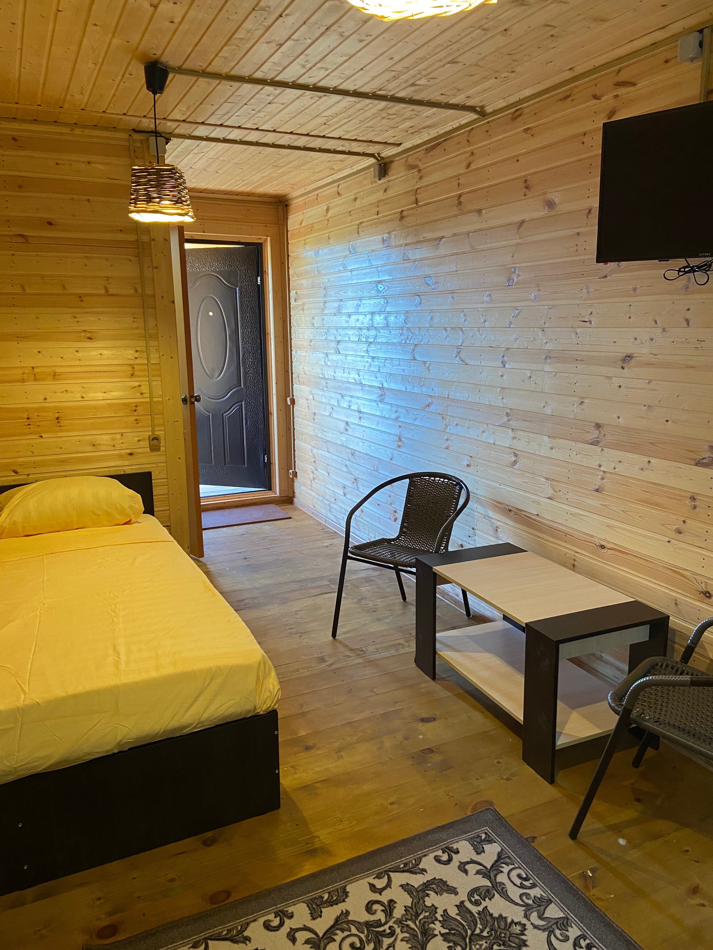 Фото Дельфин