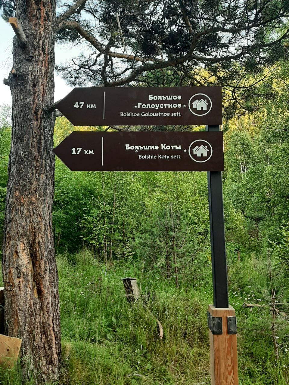 Фото Forest trail