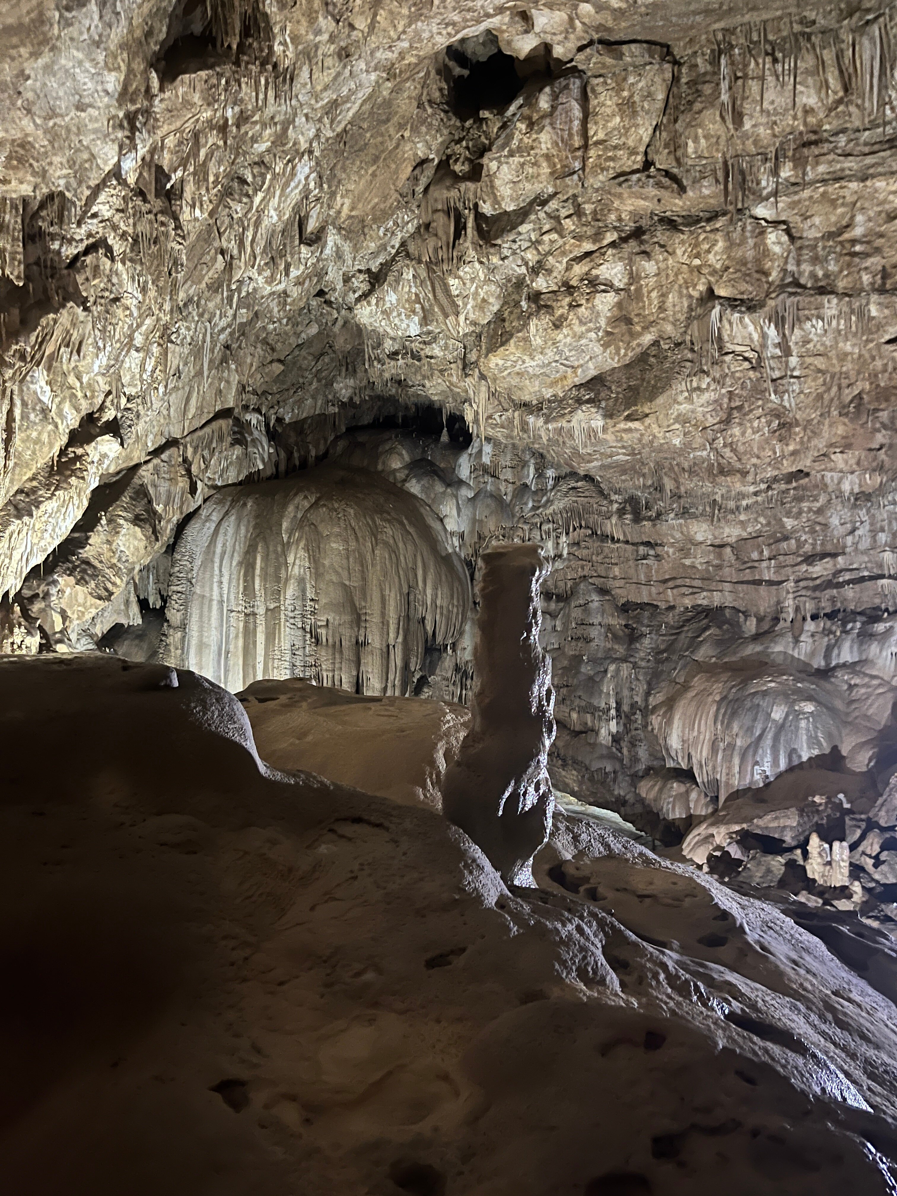 Фото Отель Грифон