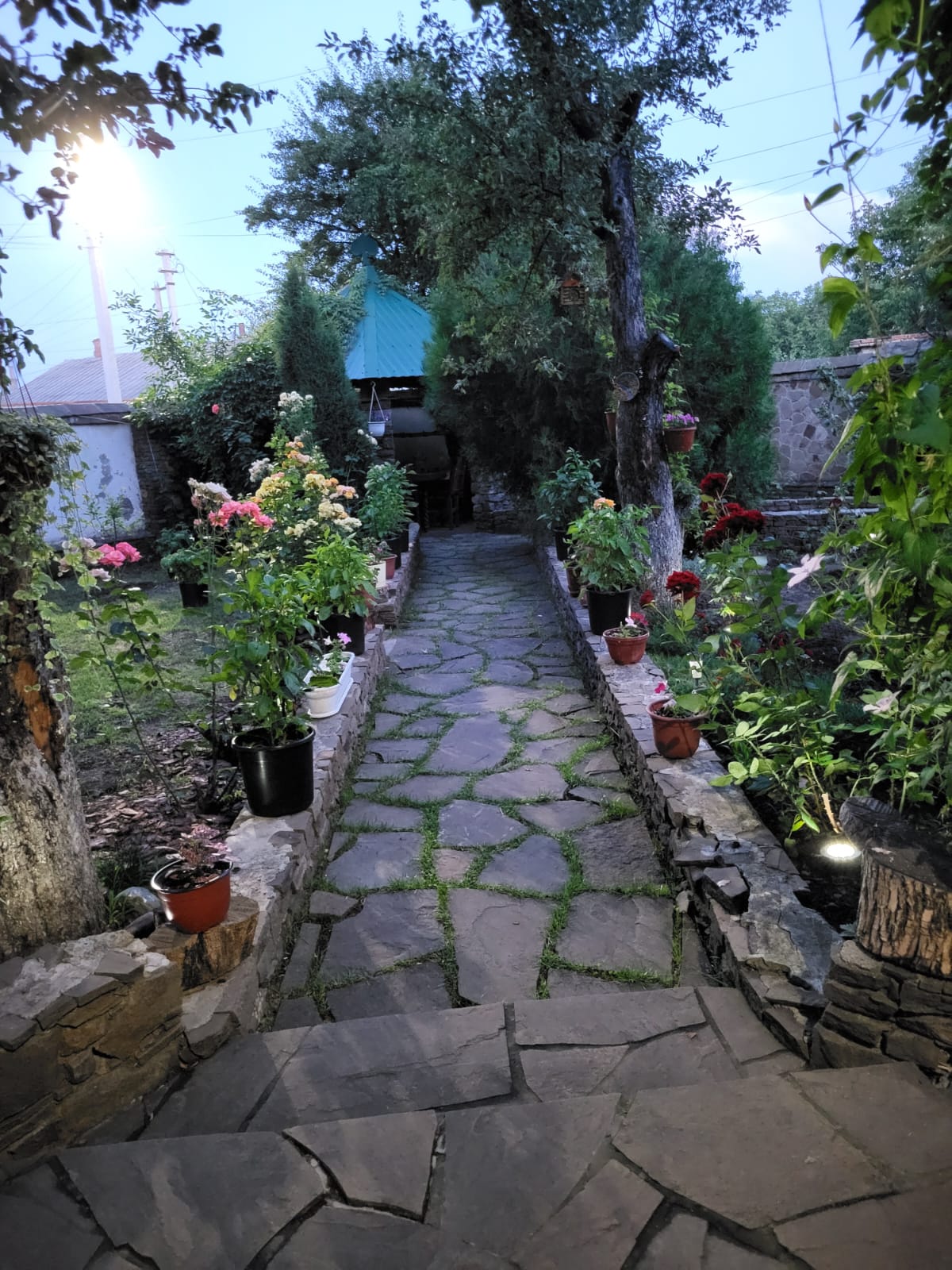 Фото Сказка