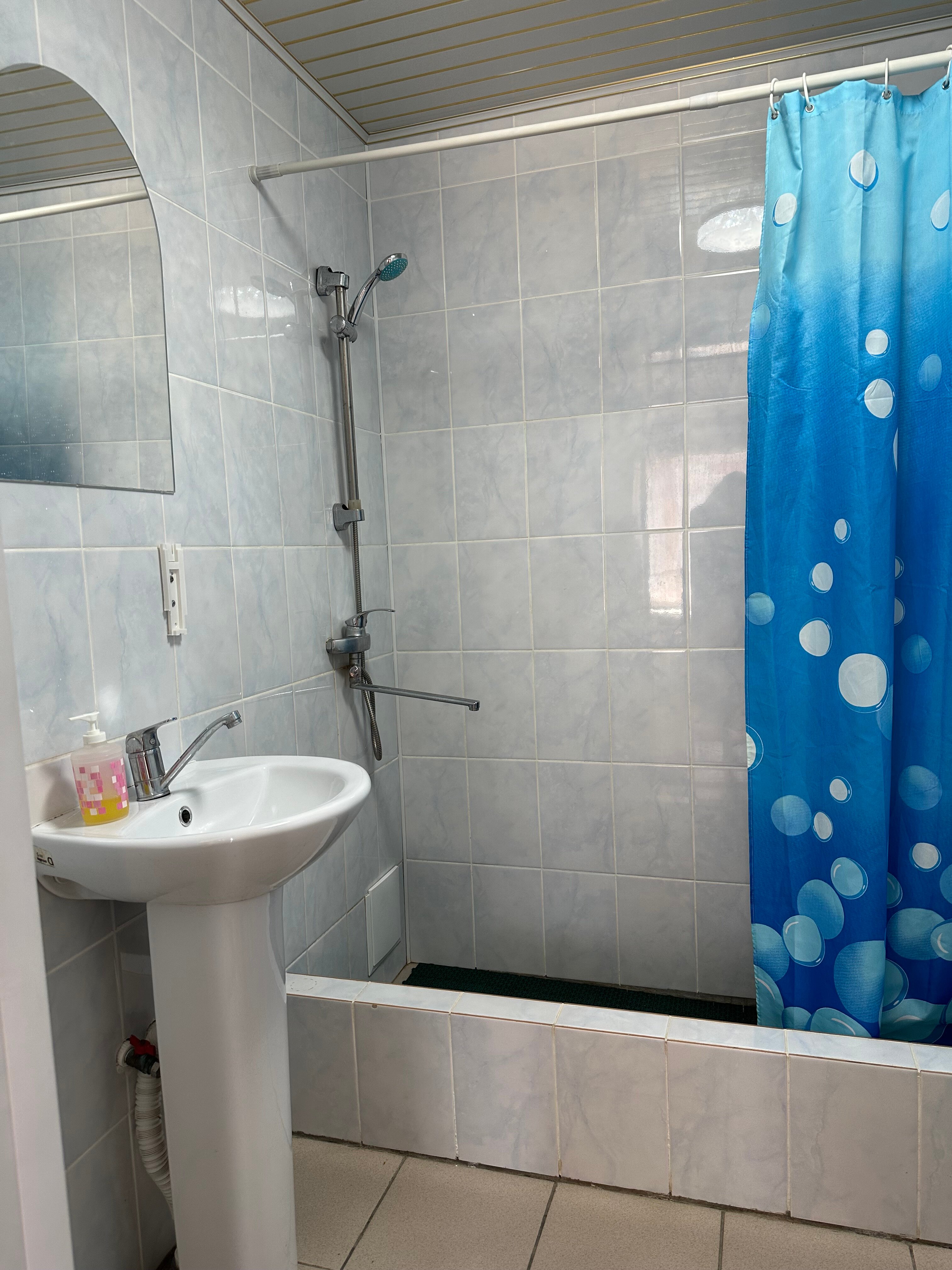 Фото Лазурное Яровое