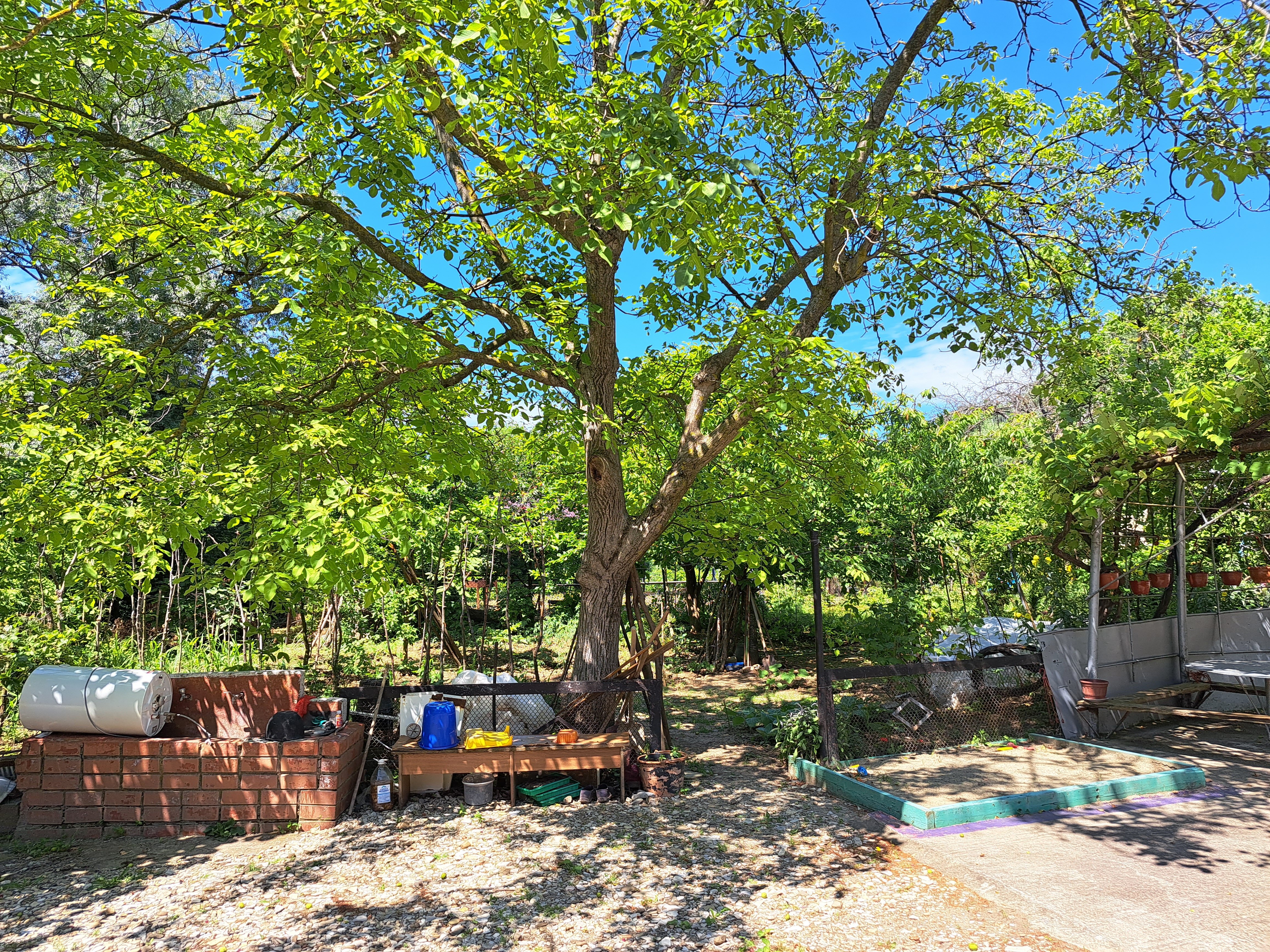 Фото Валентин