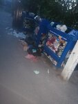 Чистая планета (ulitsa Pushkina, 37), recycling