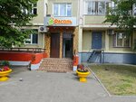 Фасоль (Novokurkino District, Molodyozhniy Drive, 8), grocery