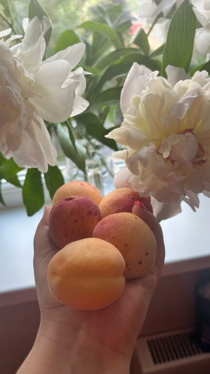 Фото Дахадаев