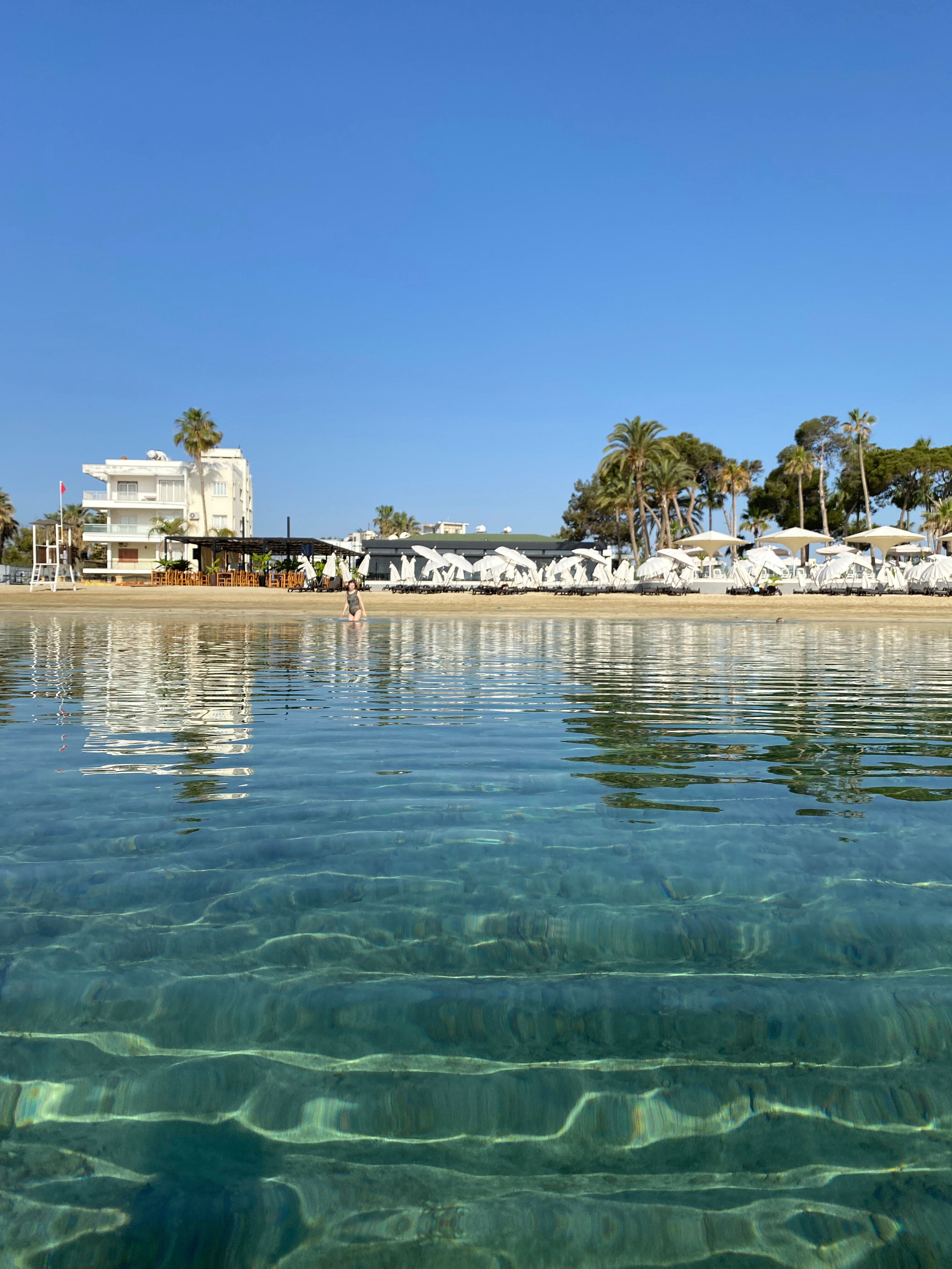 Фото Отель Аркин Палм Бич