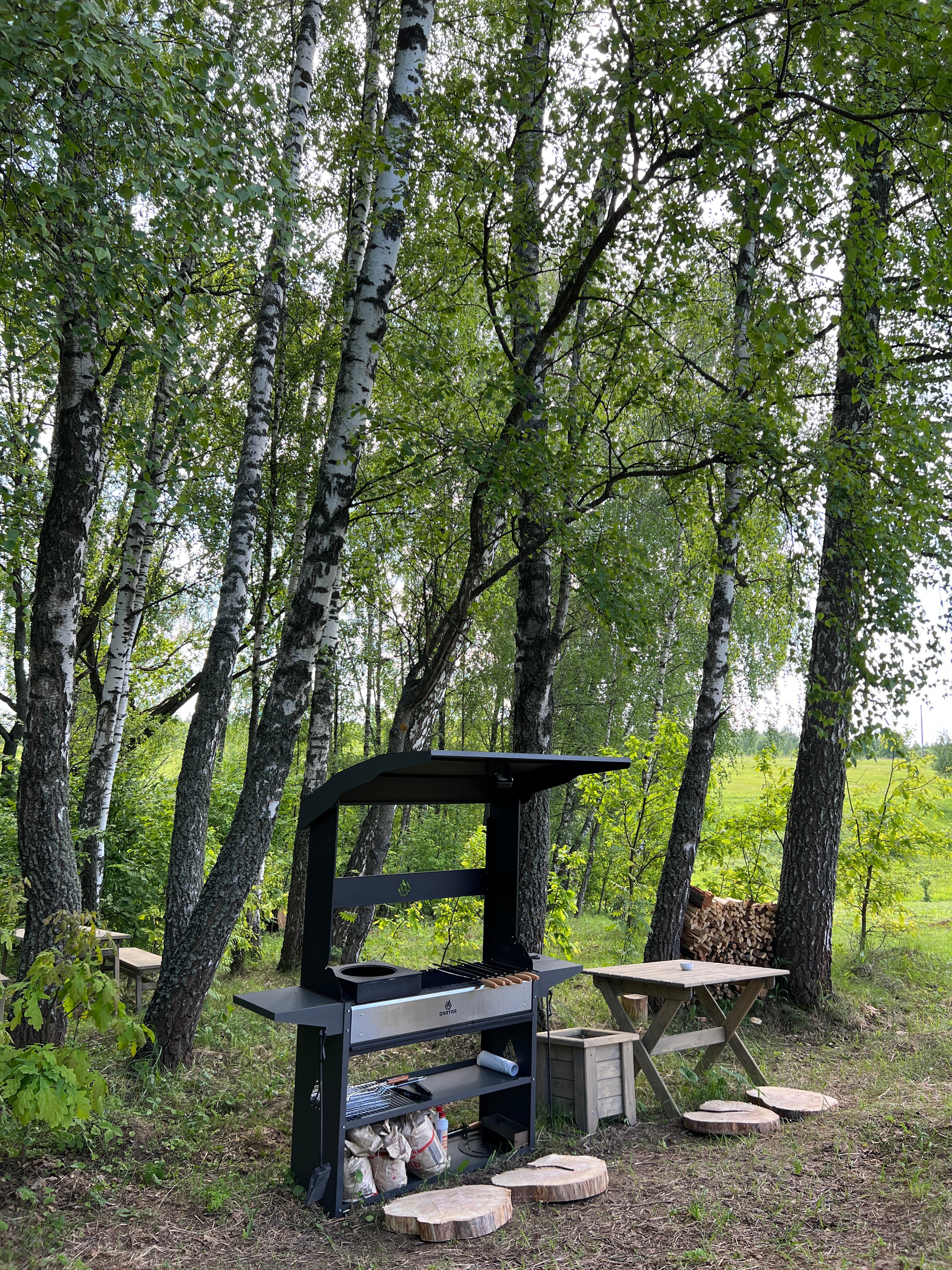 Фото Шелест
